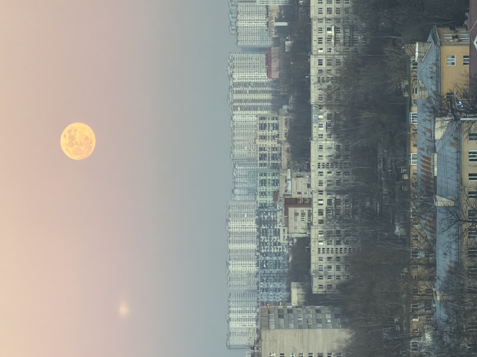 The image is an upside-down view of a city skyline with a full moon in the sky. The cityscape consists of high-rise apartment buildings of varying heights and styles. The buildings have many windows, and their facades range from gray to yellow. Bare tree branches are visible in front of the buildings. The sky is a gradient of colors, transitioning from pale pink near the horizon to light gray higher up. A faint, small bright spot is also visible in the sky near the horizon. Based on the appearance of the buildings, this is likely a residential area in a post-Soviet city. The location could be Vsevolozhsk, Russia, based on the information provided.