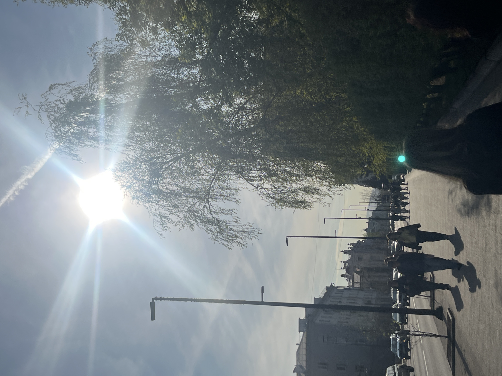 The image depicts a sunny street scene, likely in Krasnoyarsk, Russia based on architectural styles typical of the city. The sun is positioned high in the sky, casting strong light and long shadows. On the right side of the frame, there is a portion of a person's shoulder and hair. A group of people are walking on the sidewalk, their forms elongated by the sun's angle. Parallel to them, vehicles are parked along the street. Streetlights are lined up along the street. Behind the street and vehicles are several old multistory buildings. The upper left quadrant of the image is dominated by the branches of a tree.