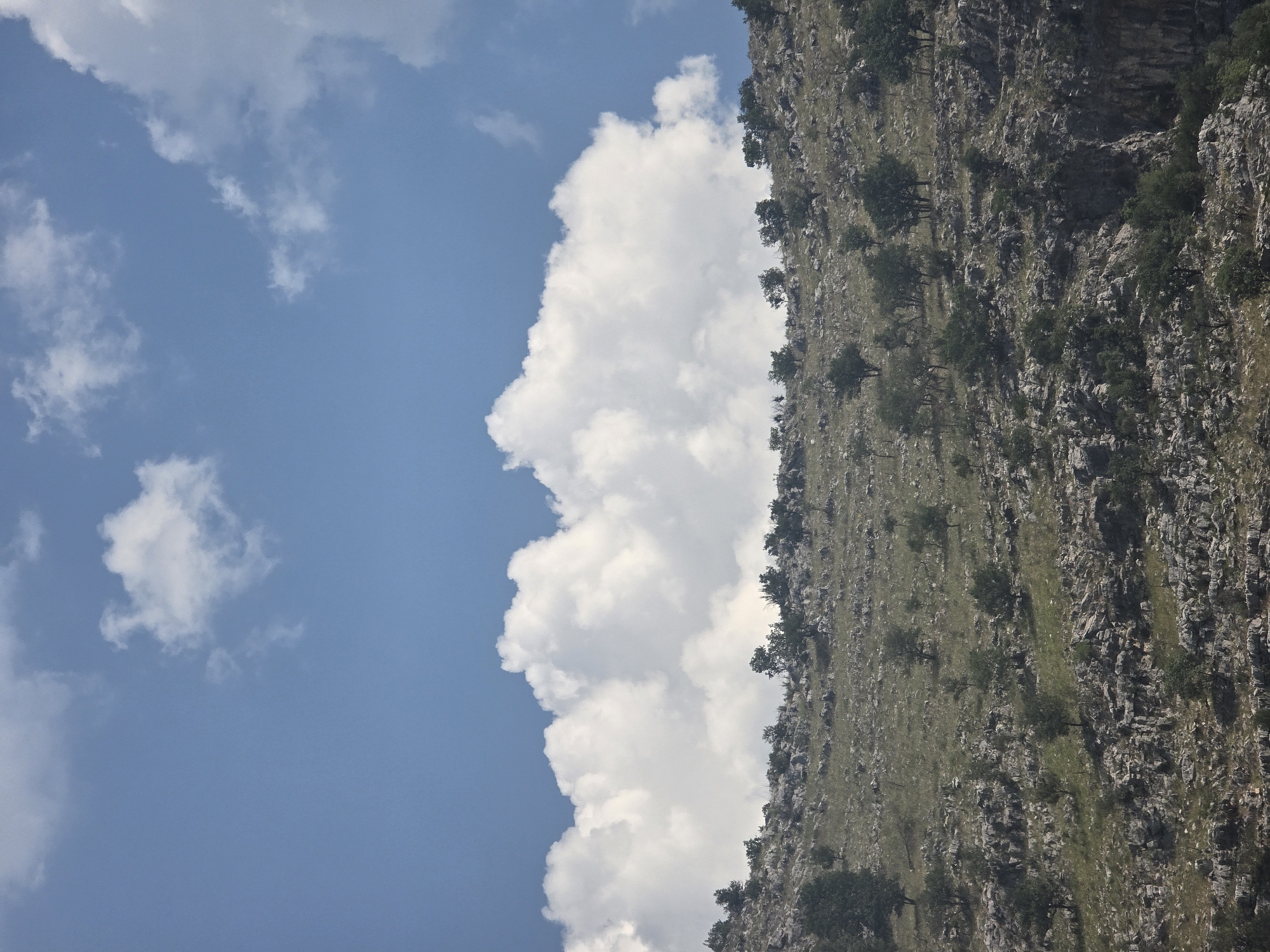 The image shows a rugged, mountainous landscape under a bright blue sky dotted with white, fluffy clouds. The terrain is covered with dry grass, rocks, and scattered trees with dark green foliage. The lower portion of the image features more dense vegetation and rocky outcrops, while the upper portion transitions to a large, horizontal mass of white clouds that create a dramatic visual separation from the blue sky above. There are no people or any discernible man-made structures in the image.