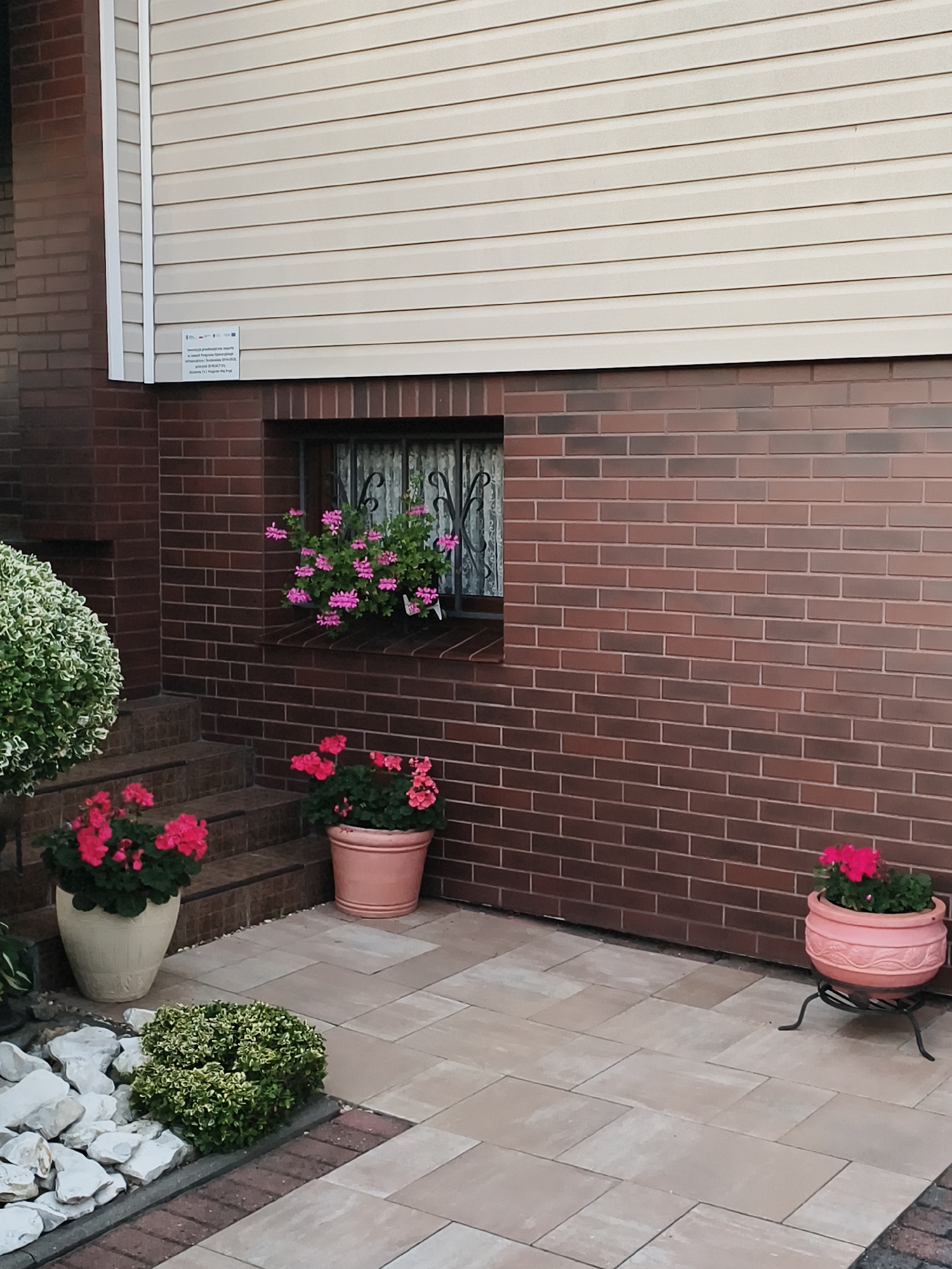 A close-up, eye-level, outdoor shot captures the exterior of a building in Tczew, Poland. The facade features a lower section constructed of dark red brick, with a lighter-colored siding material above. A window is visible in the brick section, featuring a decorative metal grate and sheer curtains. A planter box containing pink flowers is mounted on the windowsill.
In front of the brick wall, a paved patio area is visible, laid with rectangular, light-tan paving stones. To the left, a set of outdoor stairs, also paved with similar stones, leads up towards the building. On the stairs and surrounding the patio are several potted plants. Two large planters hold clusters of bright pink geraniums. One planter is a light cream ceramic pot, while the other is a light coral-colored ceramic pot on a black metal stand. To the left of the stairs, a decorative arrangement of large white stones and a small, manicured green bush are present.
The image appears to be taken during daylight, with soft lighting suggesting overcast conditions or late afternoon. The overall impression is one of a well-maintained residential or commercial exterior, with a focus on floral decoration.