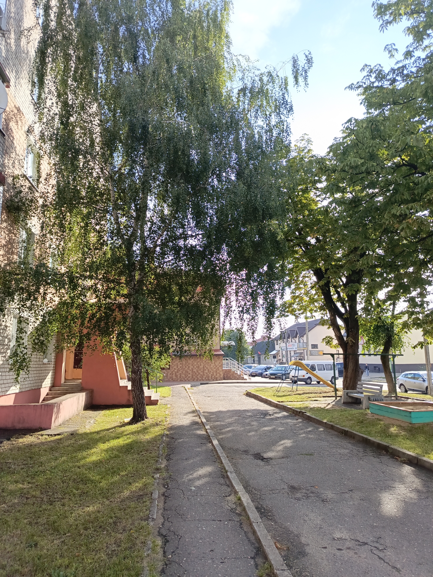 A paved walkway runs in front of a light brick building with a salmon-colored entrance and stairs. A large birch tree with a full canopy of green leaves stands on the left side of the walkway, casting dappled shadows. To the right of the walkway, a grassy area is visible, featuring a sandbox with a green border, a wooden bench, and a children's slide. Further back, a line of trees with green foliage can be seen, with buildings and parked cars in the background. The sky above is blue with some clouds. This scene is located in the city of Ivatsevichy, Belarus.