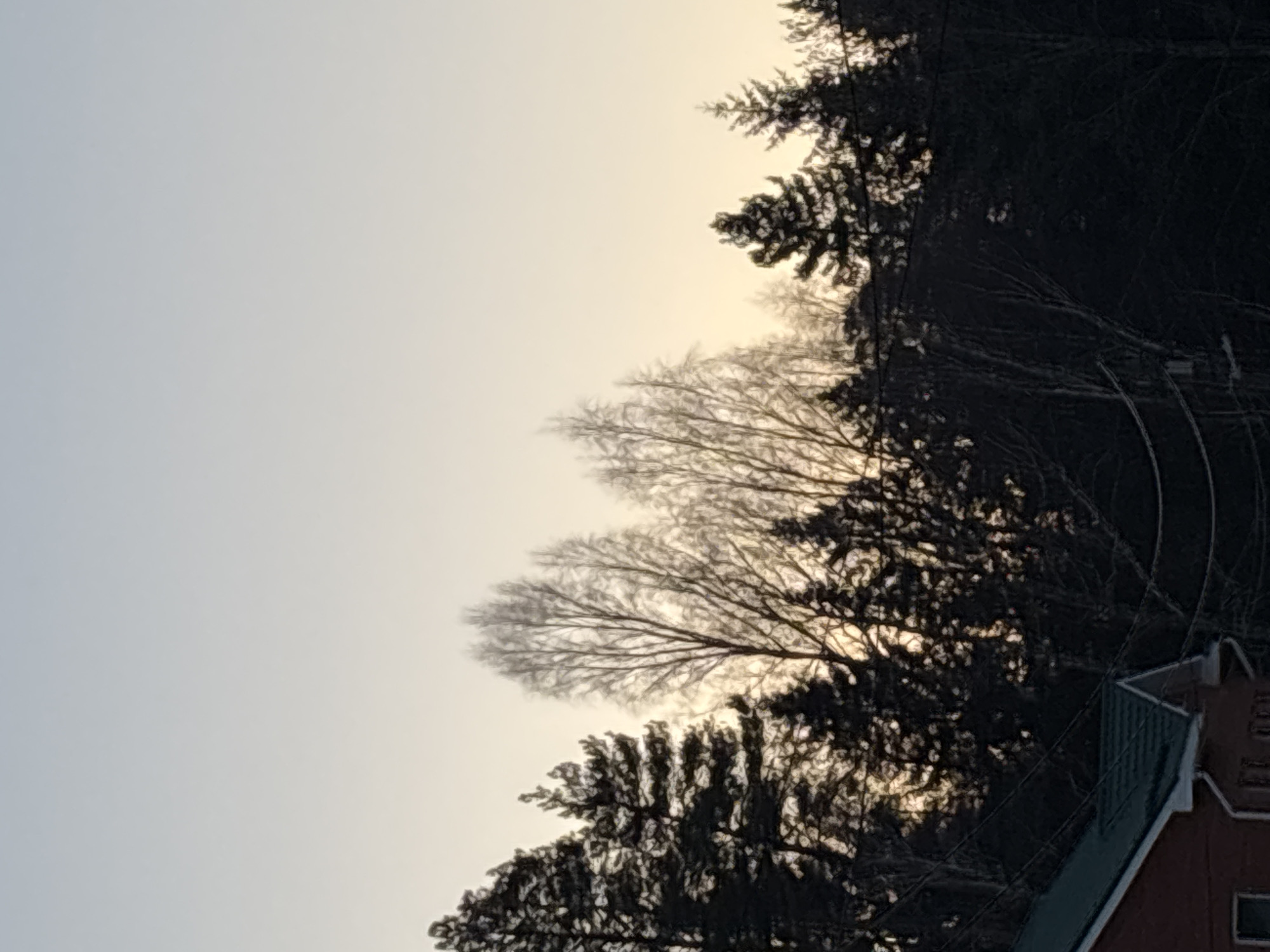 The image shows a portion of the sky, with silhouettes of trees against it. In the lower right corner, a small section of a building is visible, with a red brick facade and a green roof. The sky transitions from a light blue-gray to a pale yellow-orange towards the top of the image, suggesting either sunrise or sunset. The image may be from Chaikovsky, Russia.