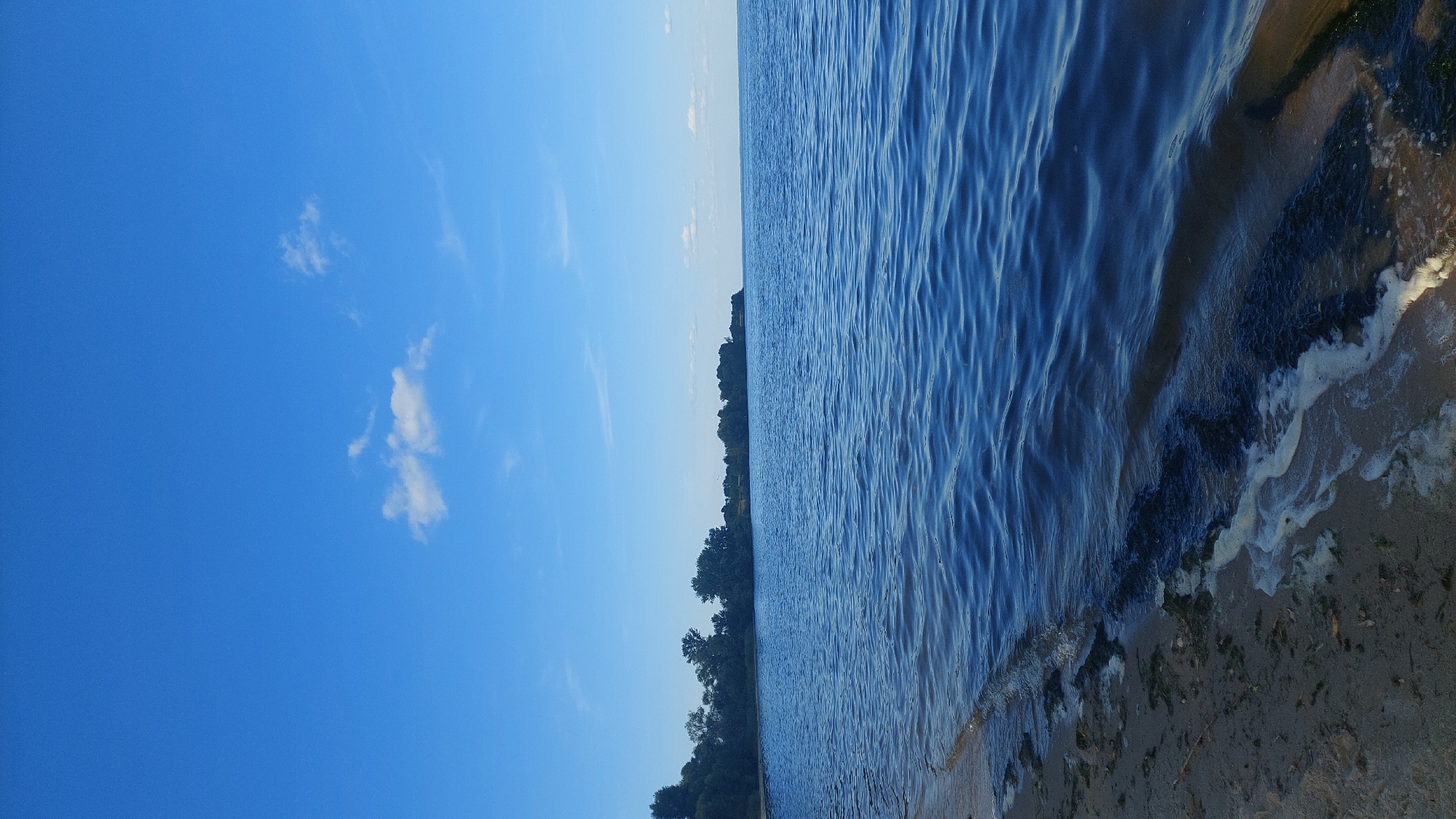 A vertical, medium-angle shot shows a calm body of water in Kozarovychi, Ukraine, under a bright, clear blue sky with a few wispy clouds. The water surface reflects the sky and is disturbed by gentle ripples, creating a textured pattern. The left side of the image features a sandy shore with some seaweed and foam at the water's edge. In the background, a dense line of green trees and vegetation forms a natural barrier along the distant shore. The horizon is defined by the meeting of the water and the sky, with the distant tree line stretching across much of the background. The overall scene conveys a peaceful and natural environment.