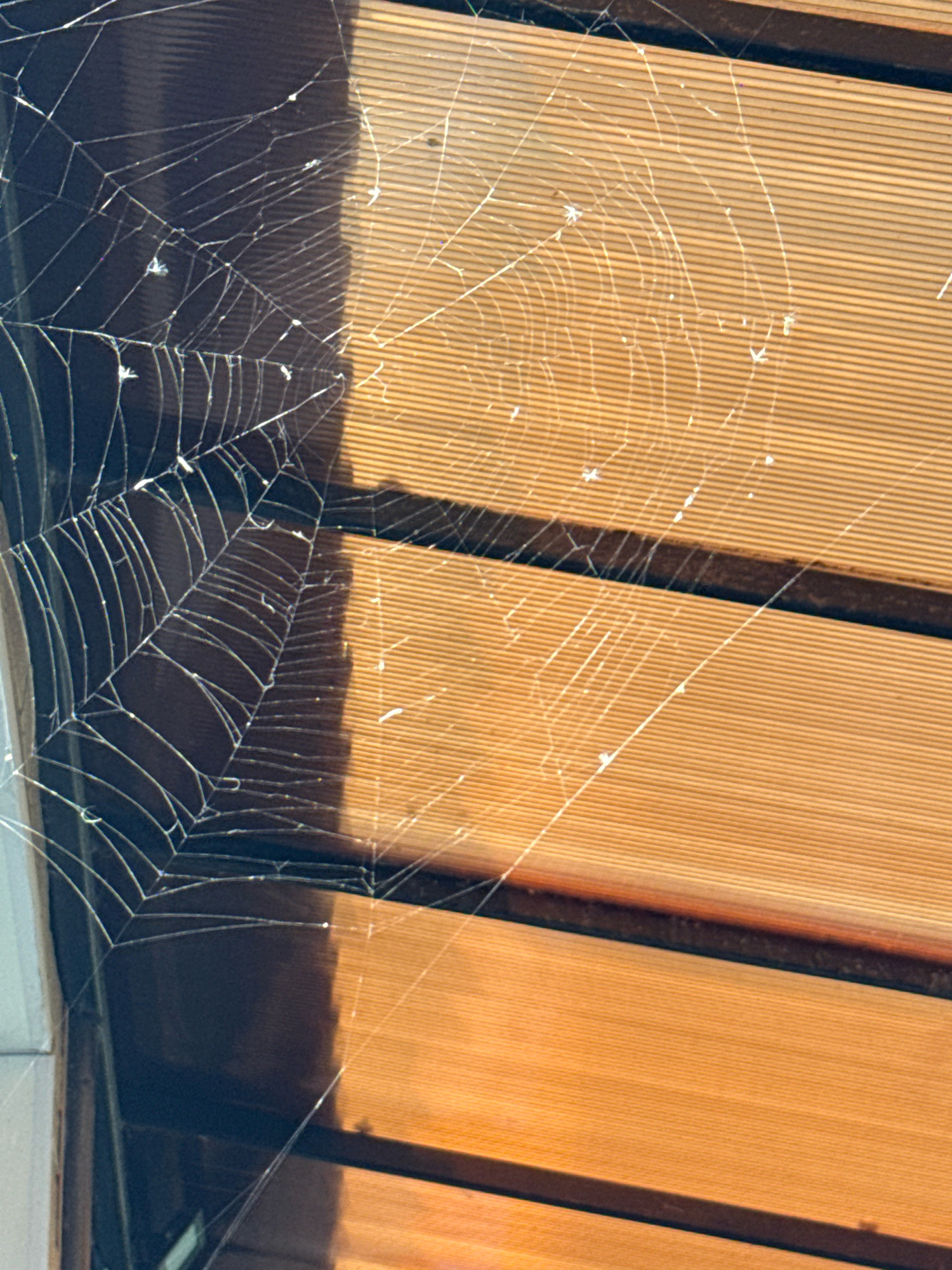 The image shows a close-up of a spiderweb. The web is made of thin, silvery threads that are stretched across a dark, out-of-focus background on the left and a horizontally-lined, light brown surface on the right. There are small, white specks scattered across the web, which could be debris or dew drops. The lighting suggests it is daytime. The location is identified as Slawharad, Belarus, though there are no specific landmarks in the image to confirm this. No people or animals are visible. The scene is static and appears to be an outdoor environment.