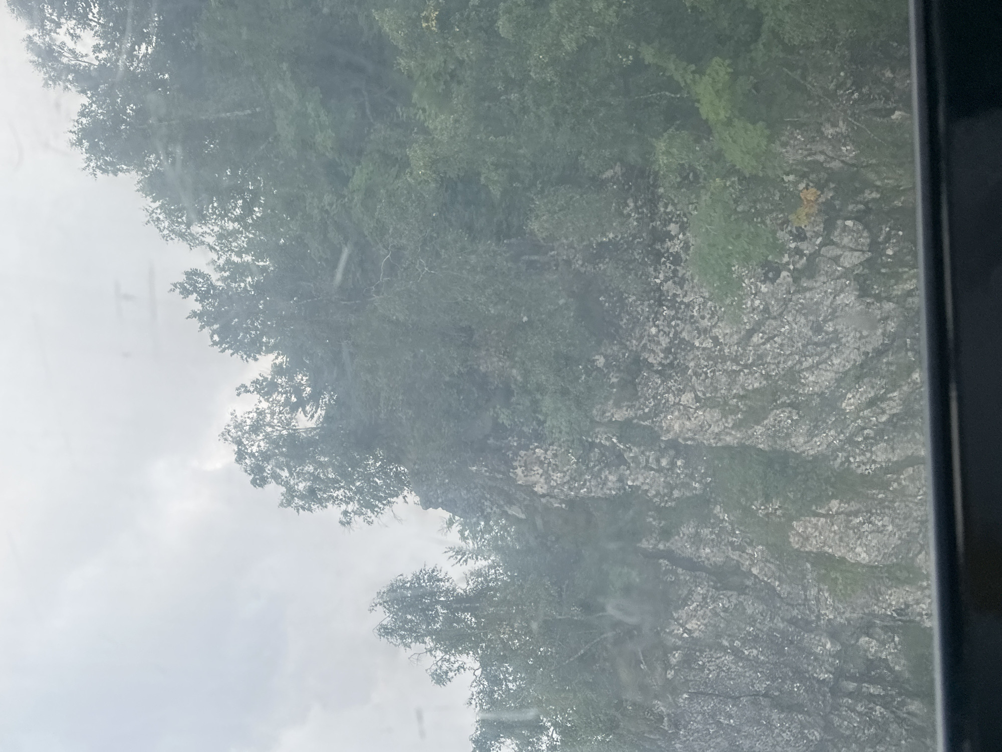 The image shows a view of a rocky mountain slope covered in dense green foliage, likely trees and undergrowth. The sky above is overcast and appears hazy. The foreground of the image has a dark, horizontal band, suggesting it was taken from a window or a similar enclosed vantage point. The overall scene depicts a natural, mountainous landscape.