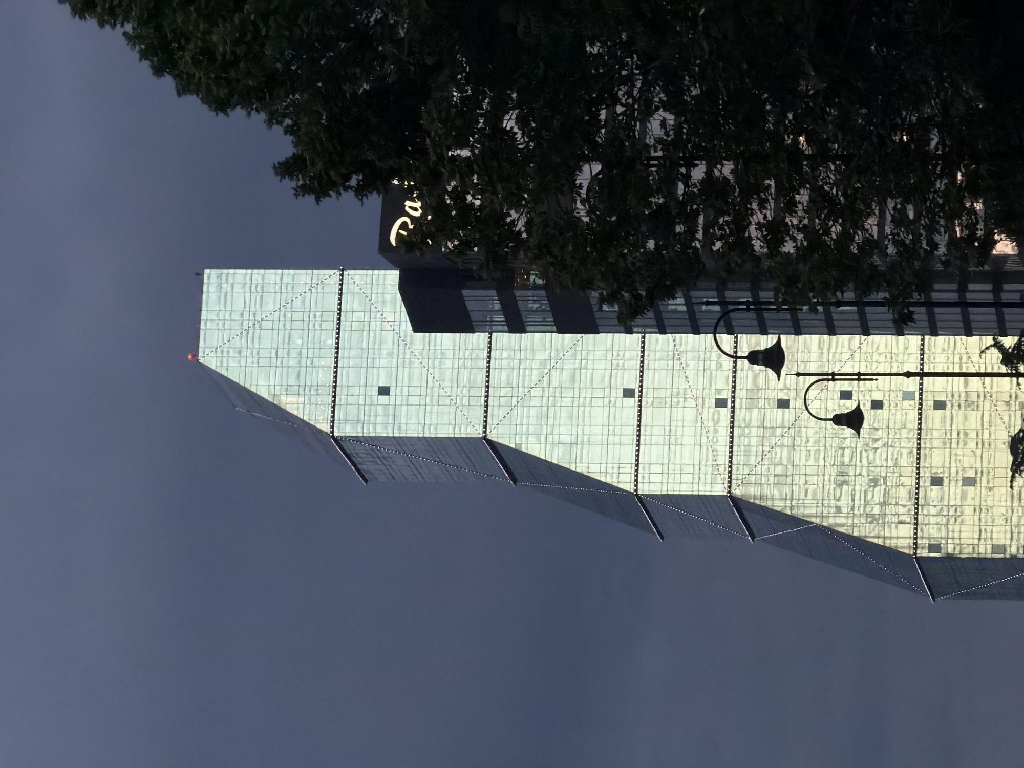 The image shows a modern building, likely a hotel, in Tbilisi, Georgia. The building has a distinctive, angular design with a glass facade divided into a grid pattern. A logo with the text "Radisson" is visible at the top. Streetlights with a curved, black design are positioned in front of the building. Dark foliage is partially obscuring the upper portion of the structure and the background. The sky is a deep blue color.