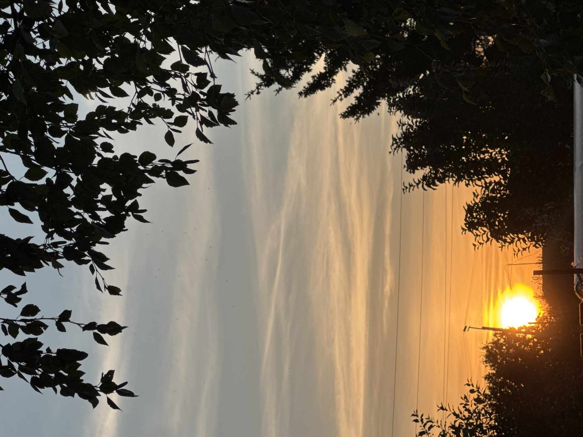 This is a vertical, medium-shot photograph captured during sunset in Kokshetau, Kazakhstan. The foreground is dominated by the dark silhouettes of trees and branches. In the upper portion of the frame, tree branches with leaves are silhouetted against a sky that transitions from a pale blue at the top to a soft orange and yellow hue near the horizon, indicative of sunset. Wispy clouds stretch across the sky, creating subtle streaks of color.
The middle ground features a bright, setting sun positioned slightly to the left of center. The sun is a brilliant, luminous orb, casting a warm, orange glow across the sky. Several power lines are visible horizontally across the image, intersected by a utility pole near the sun. The silhouettes of more trees and vegetation form a dense line below the horizon.
The lower portion of the image shows the dark shapes of more trees and vegetation, with some indistinct structures or objects beneath them. The overall impression is a tranquil, natural landscape at dusk, possibly on the outskirts of a city given the presence of power lines and utility poles. There are no people or animals explicitly visible in the photograph. The atmosphere is calm and serene.