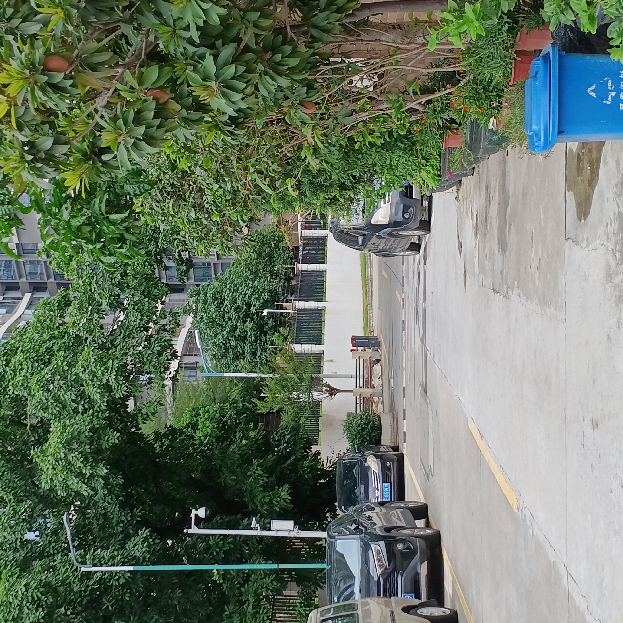 An outdoor street scene in Shunde District, China shows a paved road lined with parked cars, trees, and a building in the background. On the right of the frame is a blue recycling bin. The license plate on one of the cars reads "粤E859LM".