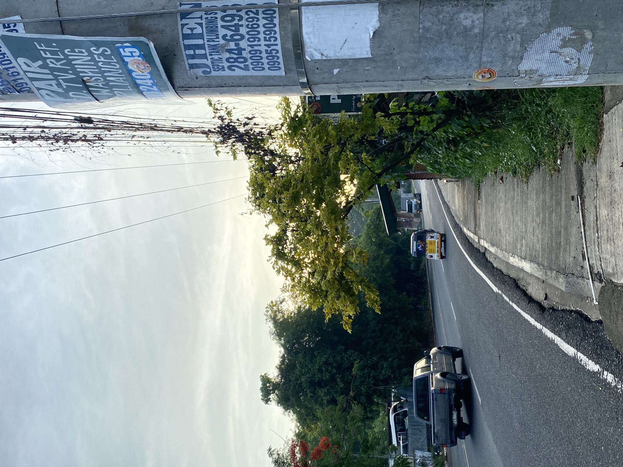The image depicts a roadside scene in Davao City, Philippines. A concrete utility pole on the right side of the frame is plastered with various flyers and stickers, including advertisements for appliance repair and septic tank services. One flyer is for "PAIR D. TV. REF. WASHING APPLIANCES" with phone numbers. Below it, another flyer advertises "JHEN SEPTIC TANK PLUMBING S" with more phone numbers. The pole is also adorned with a round sticker featuring an image of a person.
The road, which appears to be a two-lane asphalt road, stretches into the distance. A gray pickup truck is traveling on the left lane, and a yellow motorized tricycle is in the right lane, heading in the same direction. The road is bordered by a concrete sidewalk on the right, with lush green vegetation growing alongside it. Trees, some with vibrant red flowers, line the left side of the road, and in the background, more trees and foliage create a dense green backdrop. The sky is overcast with a hint of sunlight breaking through, suggesting it might be early morning or late afternoon. The overall impression is a typical urban street scene in the Philippines, with a blend of infrastructure, vehicles, and natural elements.