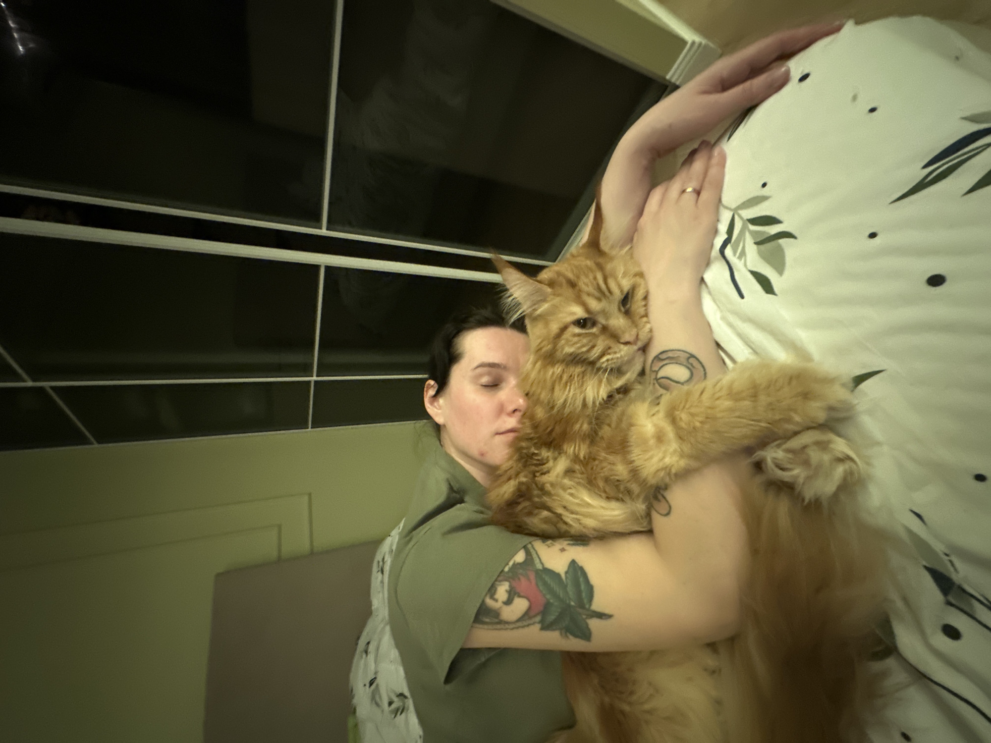 A woman with dark hair, wearing a green collared shirt, is depicted in an intimate indoor moment, embracing a large, fluffy orange cat. Her eyes are gently closed or looking downwards, conveying a sense of tenderness or relaxation. She has distinctive tattoos on both arms; one on her left bicep depicts a stylized face framed by foliage, possibly a rose, while another on her right forearm features a swirling, organic design. A simple gold ring is visible on her right ring finger. The cat, likely a Maine Coon due to its prominent ear tufts and substantial size, has long ginger fur, and its claws are partially extended on one paw as it rests in her arms.
The setting appears to be a cozy indoor space, possibly a bedroom, indicated by the patterned duvet cover with green leaves and dark dots that partially wraps around them. The background includes a plain light-green wall and a darker section composed of rectangular panels framed by white lines, possibly windows or decorative wall features. The lighting is soft, suggesting an indoor evening or night scene. The atmosphere is serene and affectionate. This scene is located in Chaikovsky, Russia. No text is visible in the image.