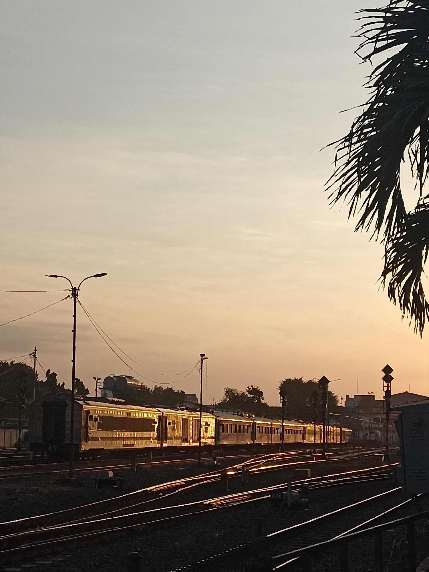 The image depicts a train at a railway station in Surabaya, Indonesia, during a sunrise or sunset. The sky is a soft gradient of pale blue to warm orange, indicating dawn or dusk. A long train with multiple carriages is parked on the tracks, its side reflecting the golden light. Various railway tracks stretch across the foreground, some appearing to be illuminated by the low-angled sunlight. In the background, silhouetted trees and buildings suggest an urban or semi-urban setting. A lamppost stands prominently on the left, with its lights off. A palm frond is visible in the upper right corner, adding a tropical element to the scene. There are no people visible in the image. The overall atmosphere is serene and peaceful, characteristic of early morning or late evening in a railway yard.