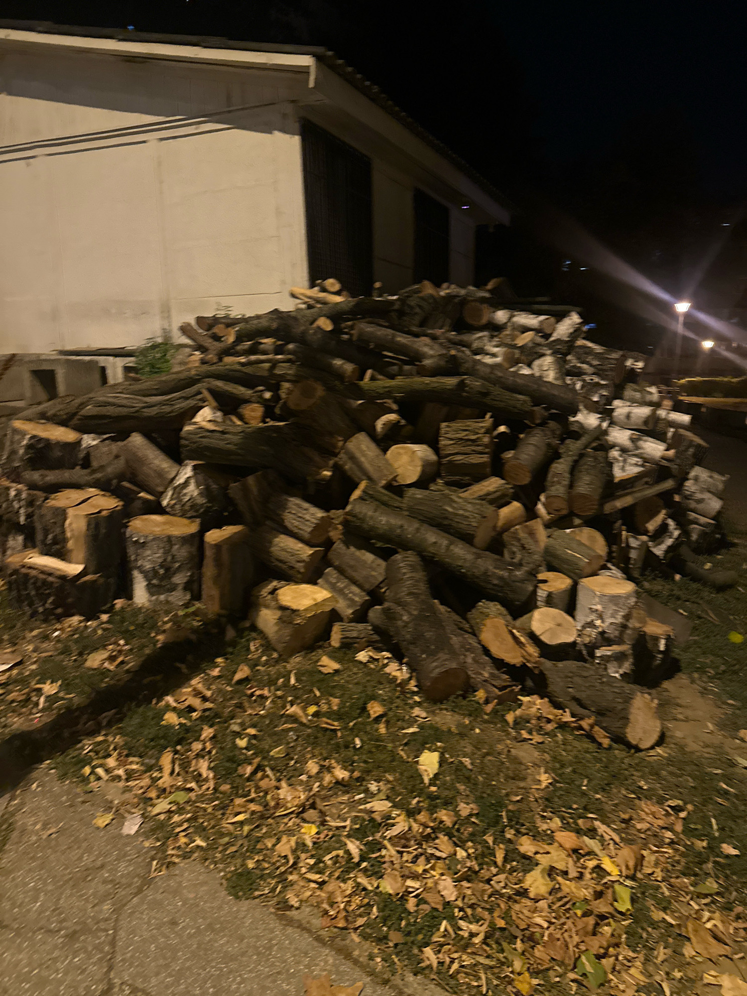 The image shows a large pile of cut firewood stacked against the side of a building at night. The firewood consists of various types of logs, some with visible bark and others with cut ends showing wood grain. The pile is irregular in shape and size, with logs of different diameters and lengths. Some logs appear to be covered in moss or lichen. The building behind the firewood is a light-colored structure with a dark-colored roof and barred windows. The ground in front of the firewood is covered with dry leaves and grass. The scene is illuminated by artificial lights, including a street lamp visible in the background, casting long shadows. The image appears to be taken in an urban or suburban setting, possibly in Belgrade, Serbia, given the context. There are no people or animals visible in the image.