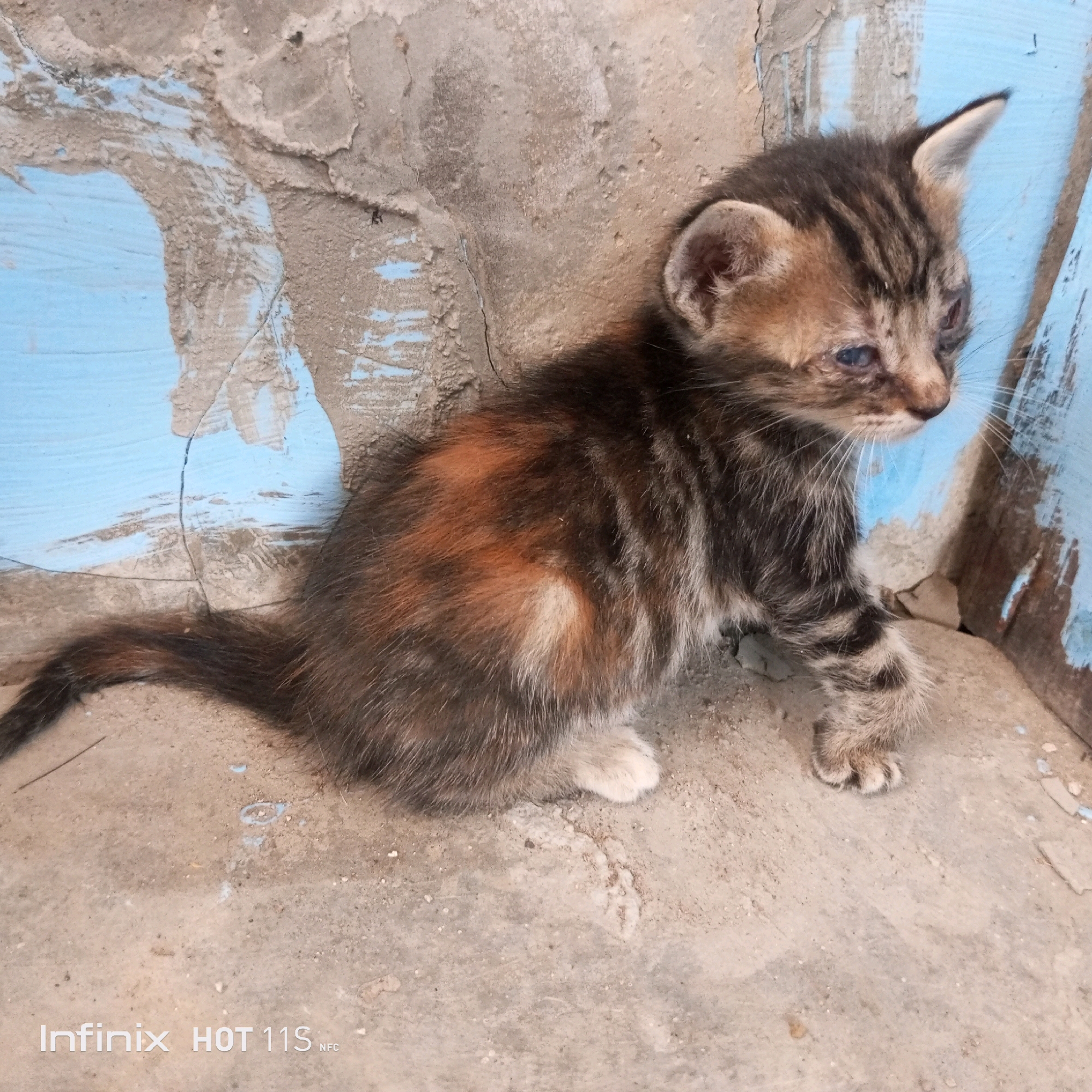 A dilute calico kitten sits on a rough, sandy ground in front of a cracked, blue-painted concrete wall. The kitten has tabby markings with patches of orange and white fur, and its eyes are partially closed. The background wall appears weathered, with peeling paint and visible cracks. The ground is a light brown, sandy texture with some scattered debris and a watermark in the lower right corner indicating "Infinix HOT 11S NFC". There are no people or other animals visible in the scene. The overall impression is of a kitten in a somewhat neglected outdoor environment. The location is identified as Sukaslamet, Indonesia.