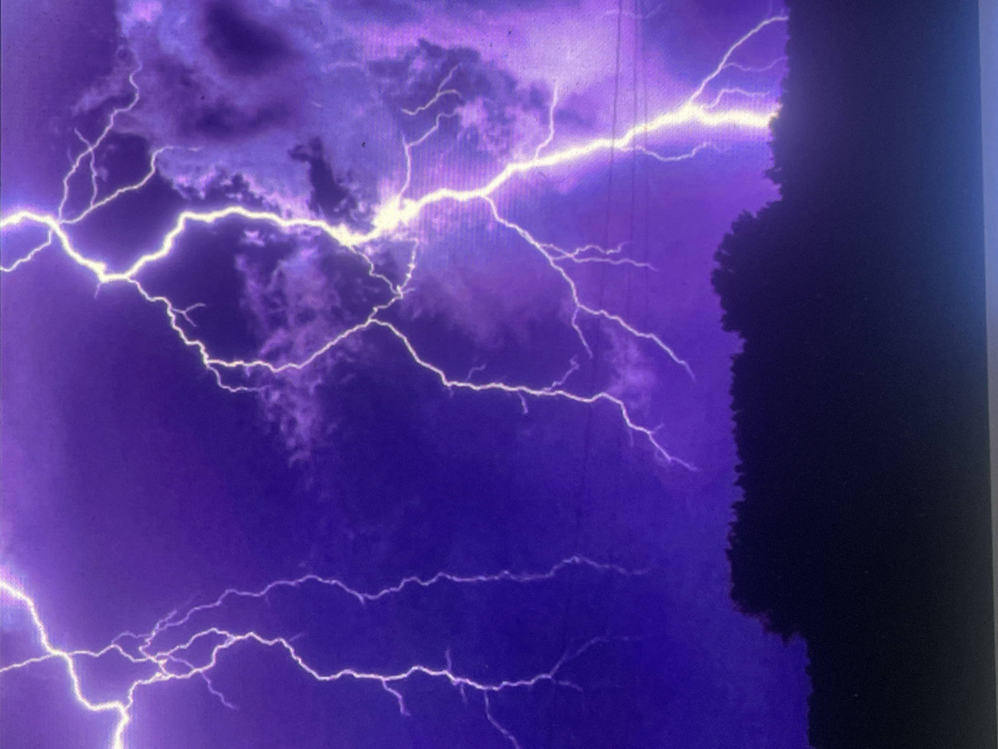 A nocturnal scene captures a severe thunderstorm over the city of Zelenyi Hai, Ukraine. The sky is dominated by deep purple and dark blue tones, with illuminated clouds visible, particularly on the right side of the frame. Multiple lightning strikes are present. On the left, two distinct, nearly vertical bright white-yellow lightning bolts descend. In the center-right, a larger, highly branched lightning strike illuminates the surrounding clouds with a purple hue, extending from the upper sky towards the horizon. Faint horizontal lines, consistent with power lines, are discernible in the middle-right section of the sky. The lower portion of the image shows a dark, silhouetted horizon line, composed of dense trees or foliage, against the illuminated sky. No human subjects, animals, or identifiable structures other than the potential power lines are visible.