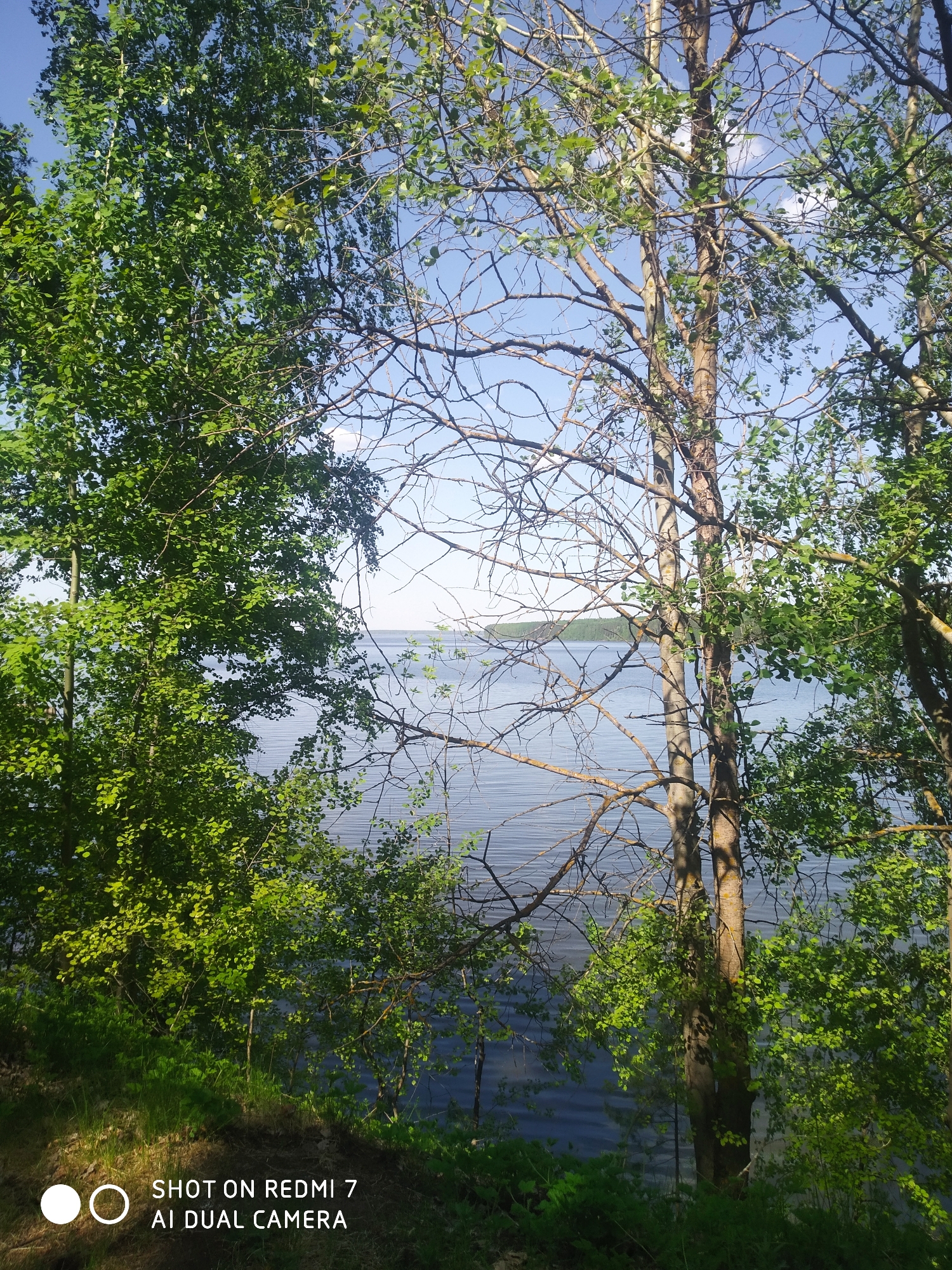 The image captures a view of a body of water, likely a lake or wide river, seen through a partial screen of trees. The trees on the left are densely covered in green foliage, while the trees on the right have fewer leaves and many bare branches. The water is a calm, dark blue with a hazy horizon line visible in the distance. The sky is a pale blue with a few scattered white clouds. The foreground shows a grassy bank with some vegetation. The location is Chaikovsky, Russia. The photo was taken with a Redmi 7 AI Dual Camera.