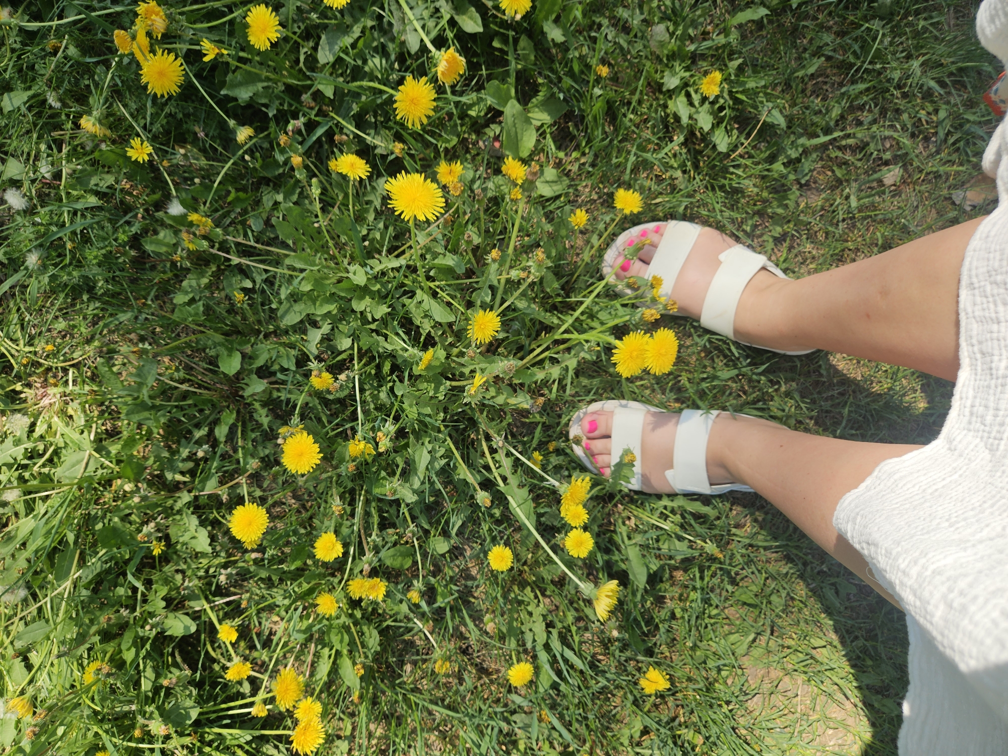 The image depicts a view from above of a grassy area dotted with dandelions. A person wearing white sandals and a white garment is standing in the grass. The location is purported to be Malakhovka, Russia.