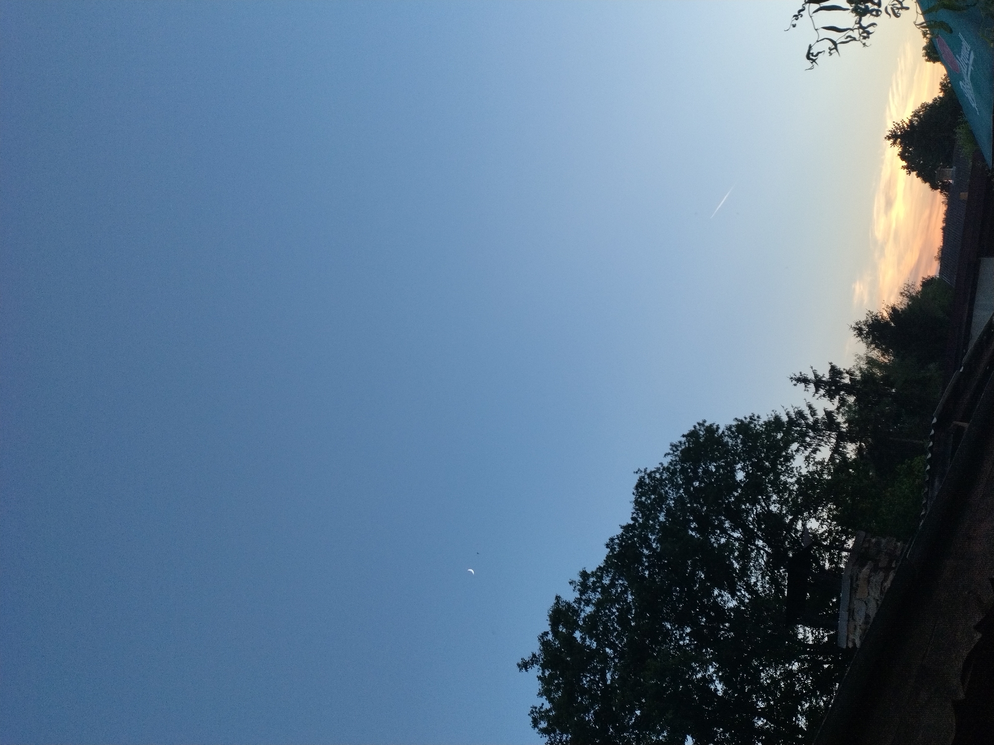 A wide shot captures a twilight sky over a residential area. The sky is a gradient of deep blue at the top fading to pale orange and yellow near the horizon. A thin crescent moon is visible in the upper left quadrant, accompanied by a faint streak of what appears to be an airplane's contrail in the upper right quadrant. Silhouetted against the sky are the dark shapes of trees, a stone chimney, and the roofs of buildings in the foreground. The foliage of a large tree dominates the left side of the frame, while other trees and vegetation are scattered across the background. The overall impression is a serene evening scene in a suburban or rural setting.