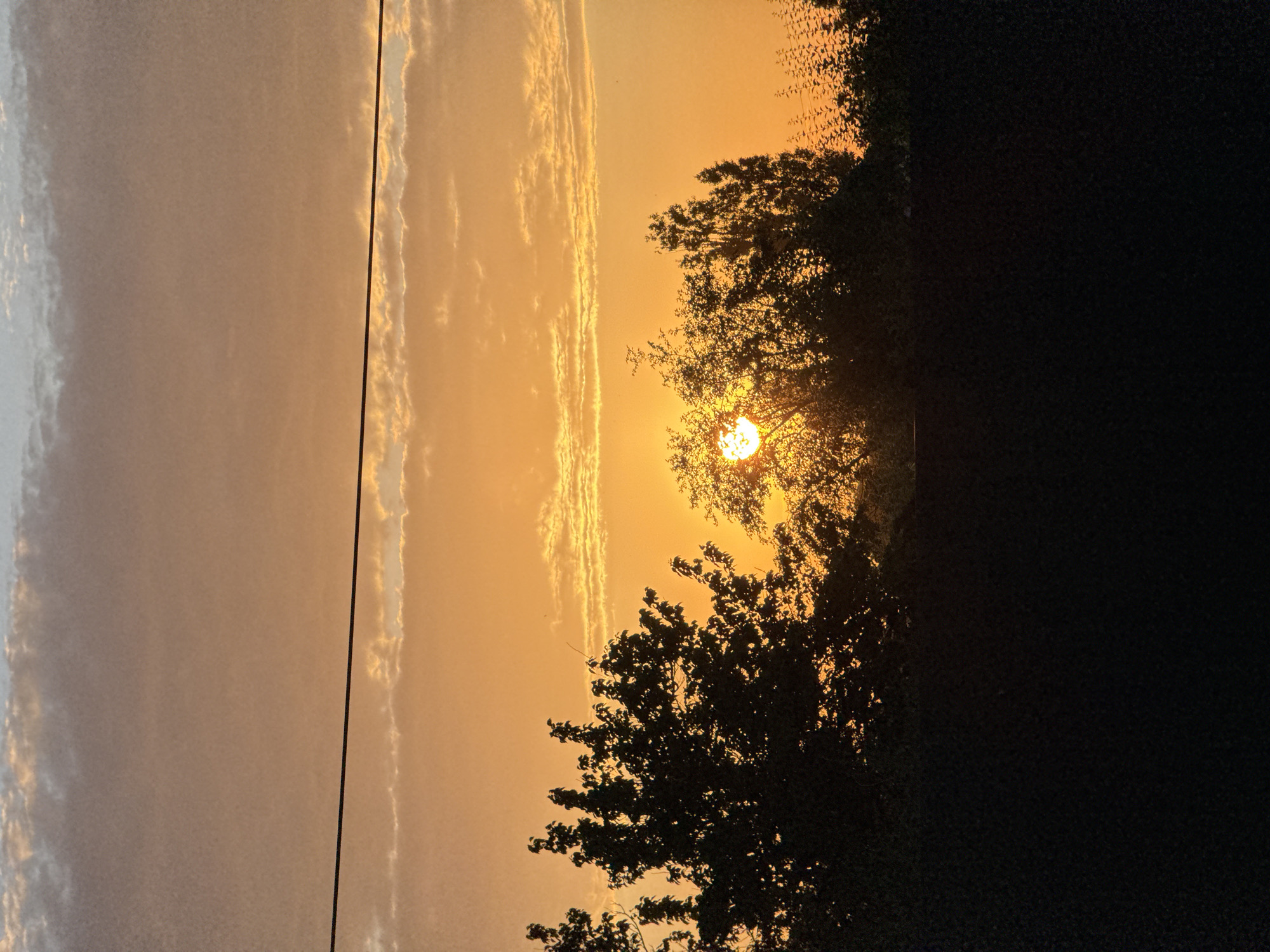 A photograph captures a sunset over a residential area. The sky is filled with hues of orange and yellow, with scattered clouds. A thin power line bisects the upper portion of the frame horizontally. Silhouetted against the bright sky are the tops of several trees and a dark, possibly fence, structure along the bottom. The sun itself is partially obscured by foliage, casting a warm glow. The scene is devoid of people or any discernible activity, presenting a serene, natural landscape within an urban setting.