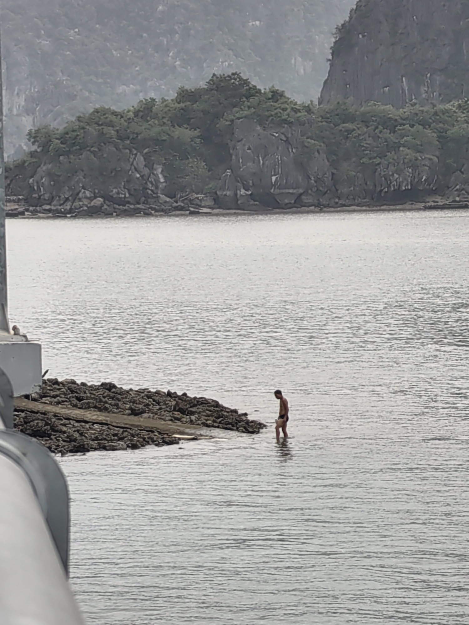 The image shows a man standing in shallow water next to a rocky outcrop in the Hong Gai Ward area of Vietnam. In the background are rocky islands covered in green vegetation. The water is calm, and the sky is overcast. A portion of a metal railing is visible in the lower left corner.