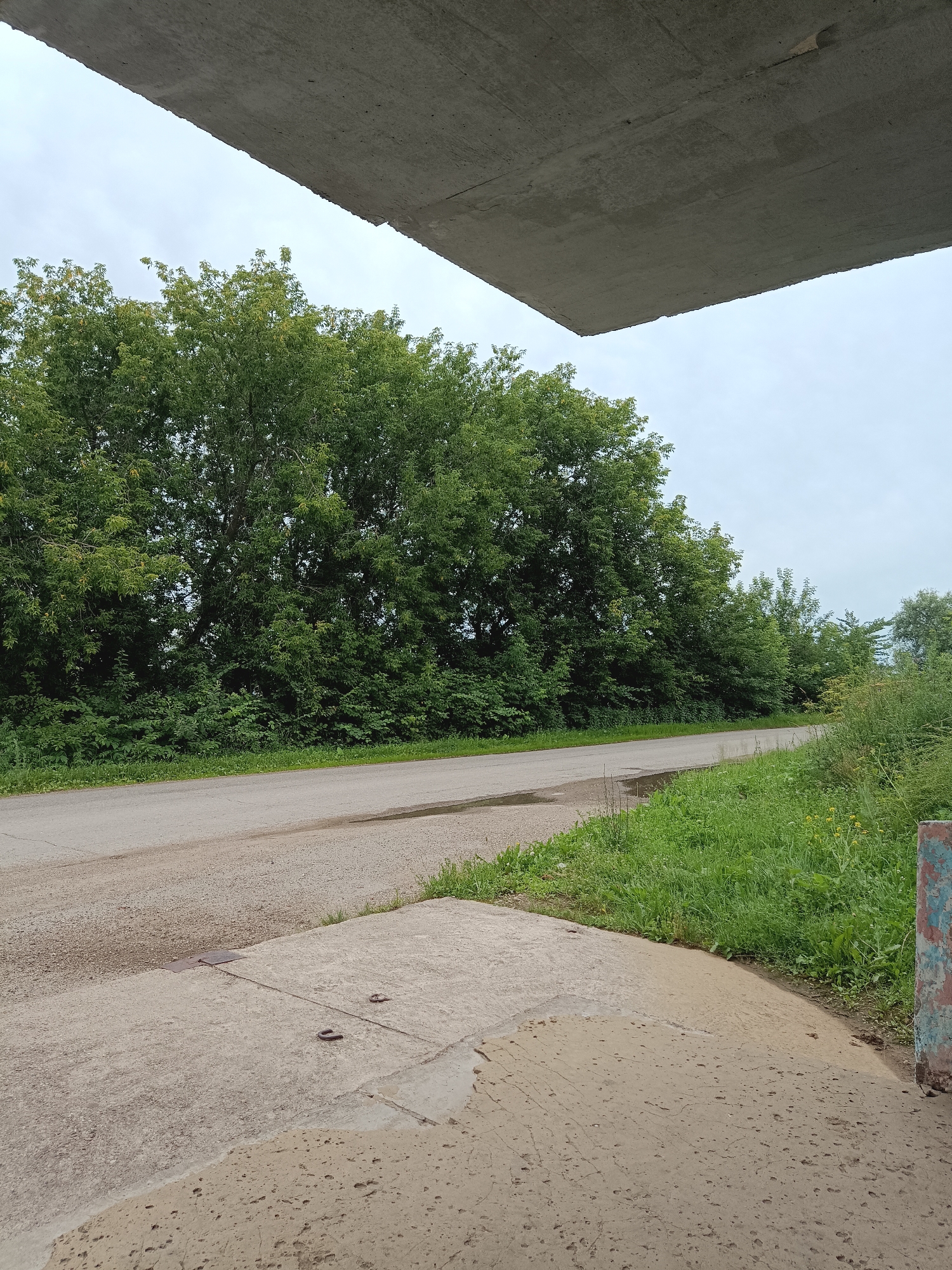 The image depicts a concrete overpass casting a shadow over a paved road that curves to the right. A dense line of green trees and bushes borders the left side of the road, creating a natural barrier. The road surface appears worn with some patches of dampness. The foreground features a concrete surface with some metal fixtures, possibly part of a manhole cover and some U-shaped metal objects. To the right of the road, lush green grass and some wildflowers grow, and a weathered, multi-colored object, likely a signpost or a small structure, is partially visible. The sky is overcast, suggesting a cloudy day. The scene is located in the city of Posad, Russia, and appears to be an outdoor environment with elements of both infrastructure and nature. There are no people or animals visible in the image.
