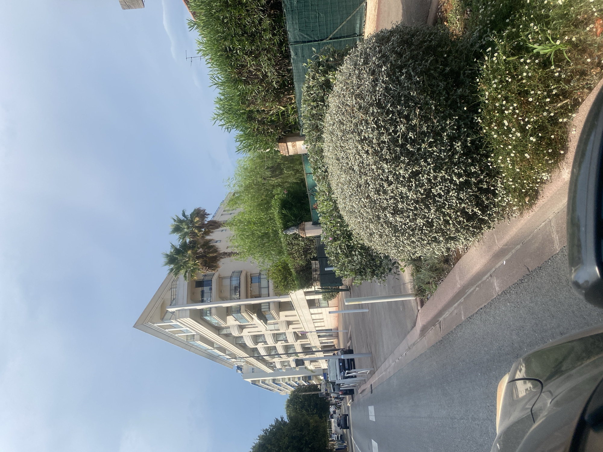 The image depicts a street scene in Antibes, France, with a modern, white apartment building dominating the left side of the frame. The building features multiple balconies with glass railings and a distinctive angular roofline. Palm trees and lush green foliage flank the building. In the foreground, a road runs alongside a sidewalk bordered by manicured bushes and small white flowers. Several cars are parked along the street and on the sidewalk. The sky is a pale blue with a few wispy clouds. The perspective suggests the photo was taken from inside a vehicle looking outwards.
