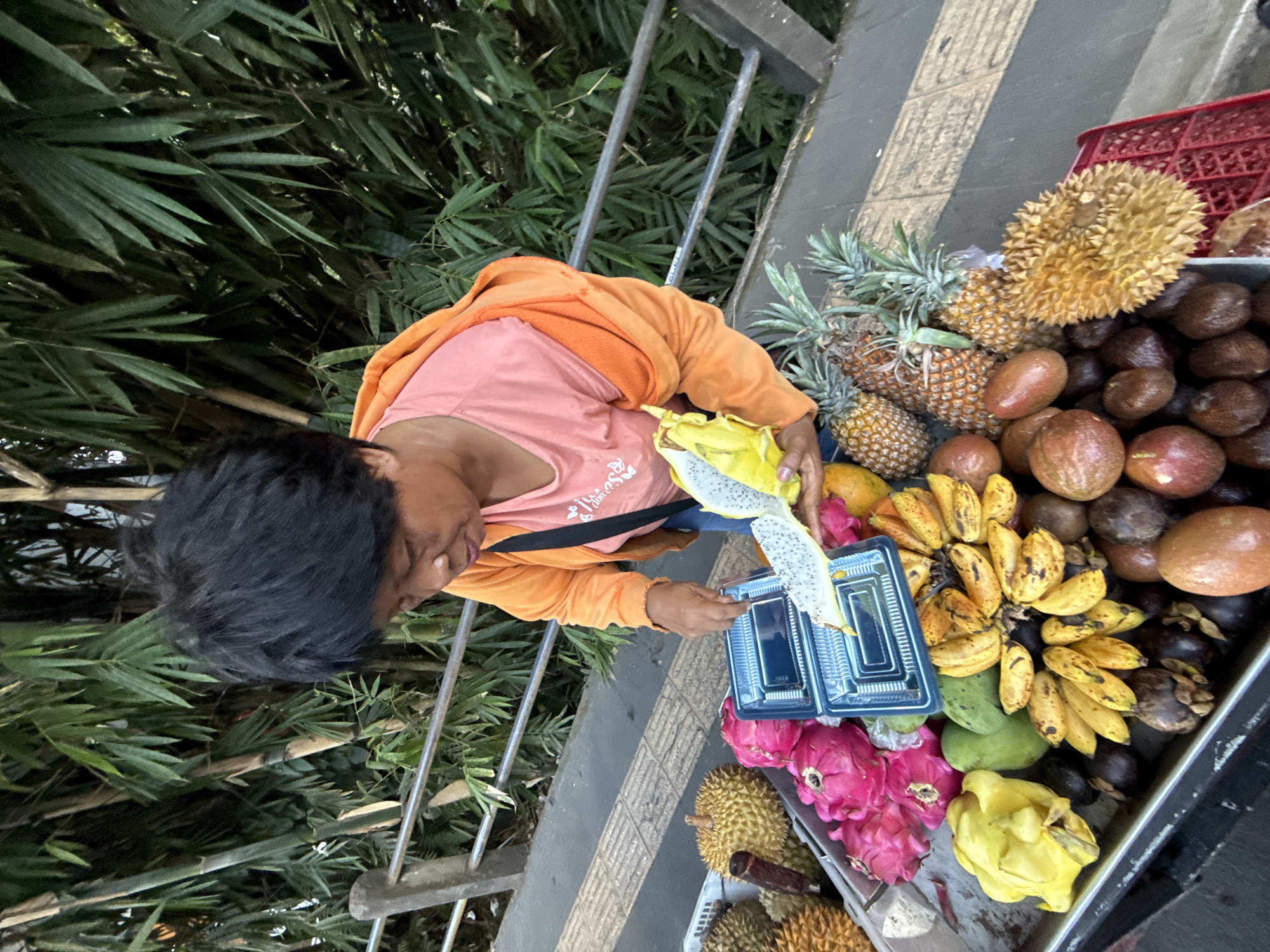 The image captures an outdoor fruit stall, likely on a sidewalk, where a vendor is preparing fresh tropical fruit under bright daylight. The scene is observed from a slightly elevated perspective.
The central subject is a person, presumably a fruit vendor, with dark hair, wearing an orange long-sleeved top over a pink t-shirt and blue shorts or pants. They are focused on their task, actively peeling or slicing a vibrant yellow dragon fruit. With their hands, they are carefully placing sections of the white, black-seeded fruit into clear, rectangular plastic containers with dark blue lids, preparing them for sale as ready-to-eat portions. Faint, stylized text is visible on the person's pink t-shirt, though it is not clearly legible.
The fruit stall itself is laden with a colorful assortment of tropical produce. On one side, several whole pineapples with their green tops are displayed alongside a large, spiky, yellowish durian. Further along, there are piles of dark brown fruits, possibly salak (snake fruit), and reddish-brown passion fruits. The lower section of the stall features striking pink dragon fruits, another whole yellow dragon fruit, a bunch of ripe yellow bananas with dark spots, green mangoes, and dark purple mangosteens.
In the background, a dense growth of green bamboo plants creates a lush, natural backdrop, suggesting a tropical environment consistent with the Ubud District, Indonesia. A metal railing runs horizontally between the vendor and the bamboo. The ground beneath the stall and vendor is paved with light and dark gray sections, indicating a sidewalk or public pathway. The bright, clear lighting suggests it is daytime and likely sunny.