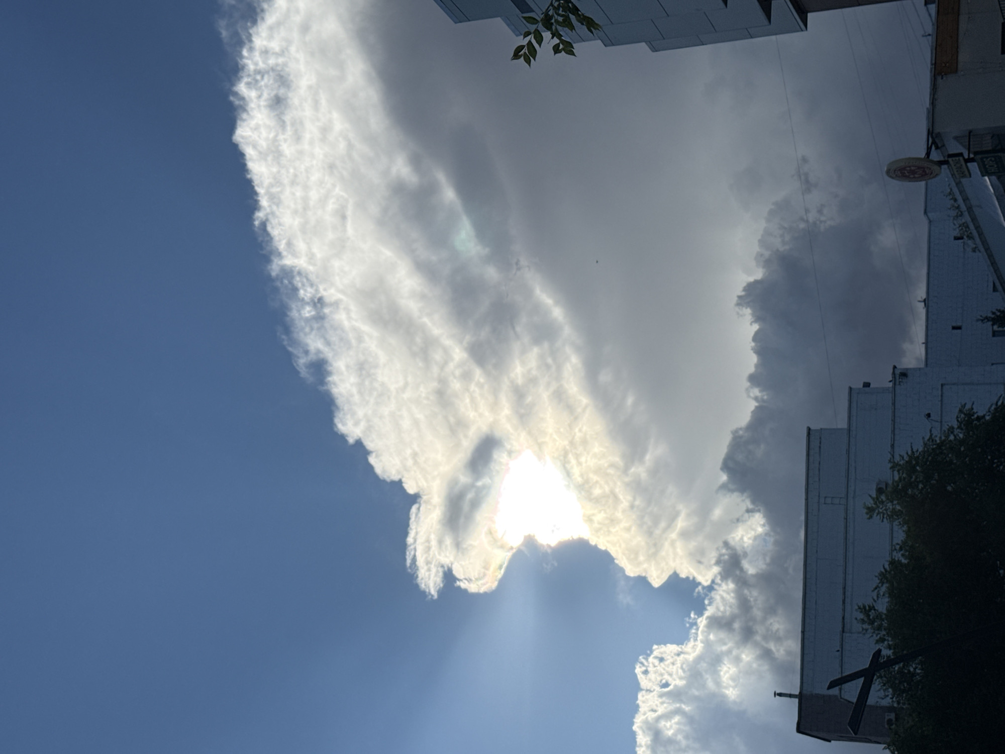 The image depicts a dramatic sky with a large, luminous cloud formation. The sun is partially obscured by this cloud, creating a radiant halo effect and casting visible sunbeams downwards. The sky is a clear blue to the left, transitioning to darker, more ominous clouds on the right. Silhouetted against the sky are the sides of several multi-story buildings. Some have white facades, while others appear darker. A tree with dark green foliage is visible in the lower right quadrant, partially obscuring a building. A dark, cross-like object is also present in the foreground, extending upwards from the right side. A circular sign with red and white elements is attached to one of the buildings. A few leaves are visible on a branch extending from the top edge of one of the buildings. The overall impression is one of a dynamic and somewhat dramatic weather event, likely occurring in an urban setting. The time of day appears to be daytime, possibly late afternoon given the angle of the sun and the contrast between light and shadow. The weather is characterized by the interplay of bright sunshine and cloud cover. There is no discernible text that can be clearly read.