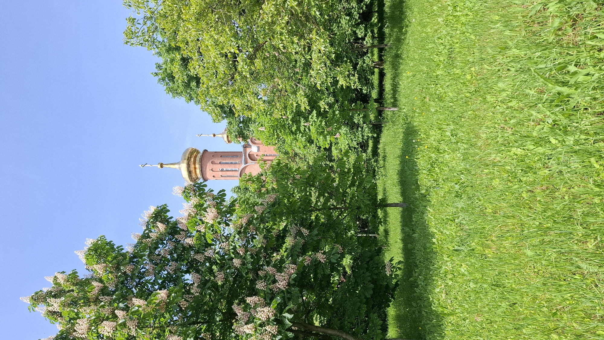 A view of the Catherine Cathedral in the city of Tsarskoye Selo, Russia, framed by green vegetation. The cathedral is a multi-story brick building with gilded onion domes. The foreground is filled with a dense variety of trees and lush green grass. The sky is clear and blue.