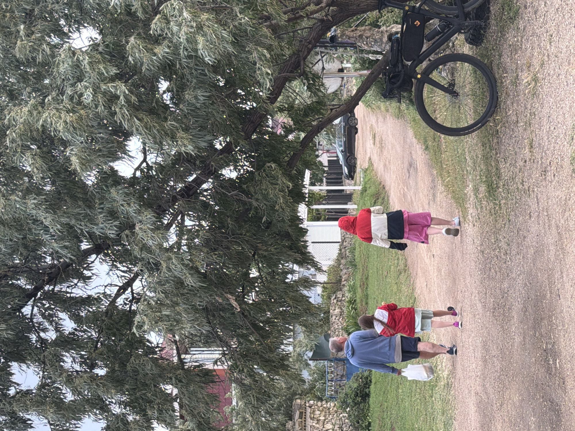 In Мысовское сельское поселение, Ukraine, three individuals are walking away from the camera on a dirt path. A man in a blue hoodie and dark shorts walks on the left, carrying a white plastic bag. Beside him, a girl in a red jacket and light shorts walks ahead. To the right, a person in a red, white, and black jacket with pink shorts walks slightly behind them. A large tree with dense green leaves partially obscures the view of buildings and a stone wall in the background. To the right of the path, a black bicycle with saddlebags is parked. A black car is visible further down the path. The ground is covered with gravel and grass.