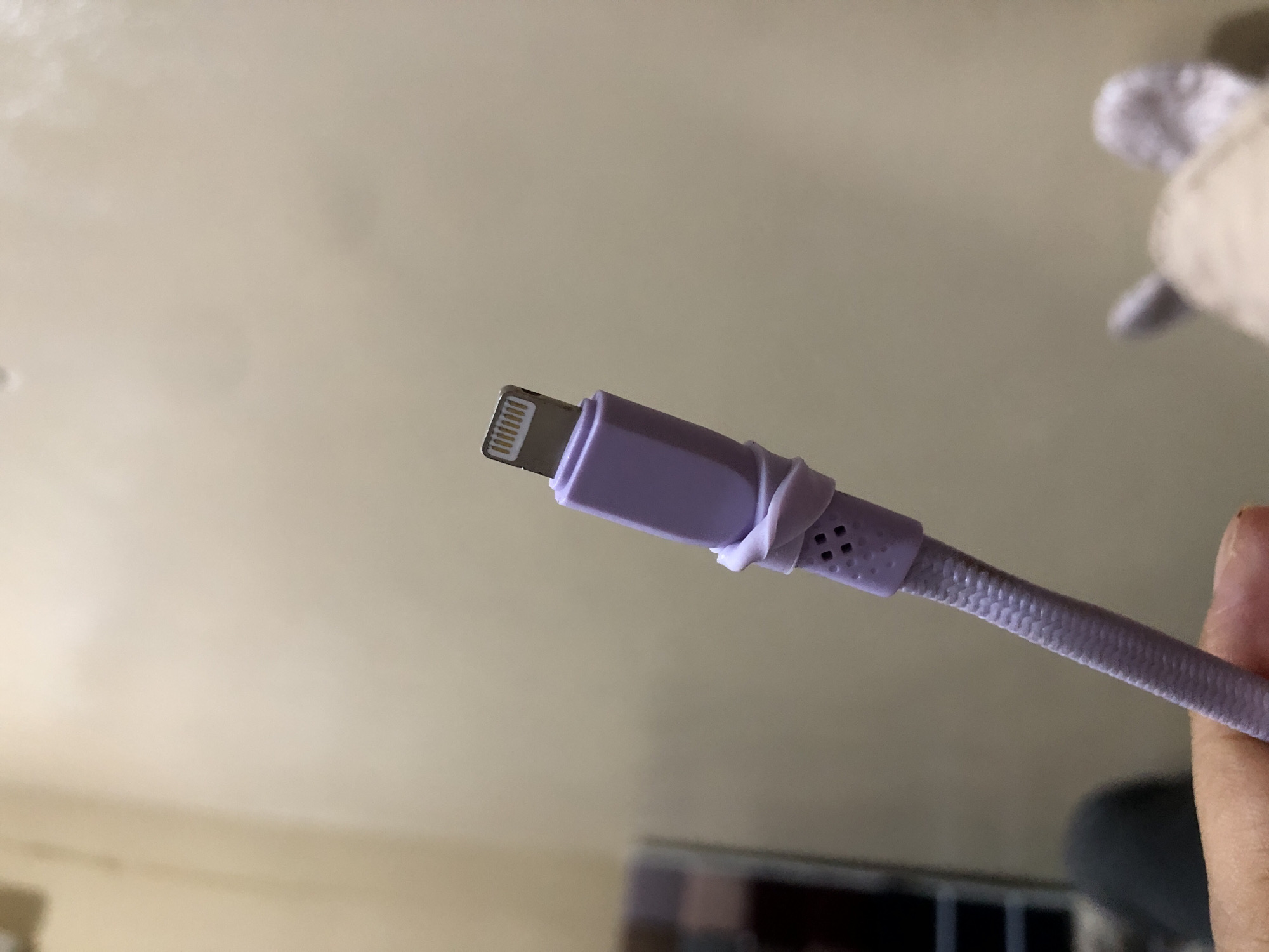 The image shows a close-up of a purple iPhone charging cable. The cable has a braided texture and a lightning connector. There is a white rubber band wrapped around the cable near the connector. In the background, a person's hand is visible, holding the cable. The wall behind the cable is a light beige color. The bottom right corner of the image shows the blurry head of a stuffed animal. The image does not provide any information or context related to Pashiebeutong, Indonesia.