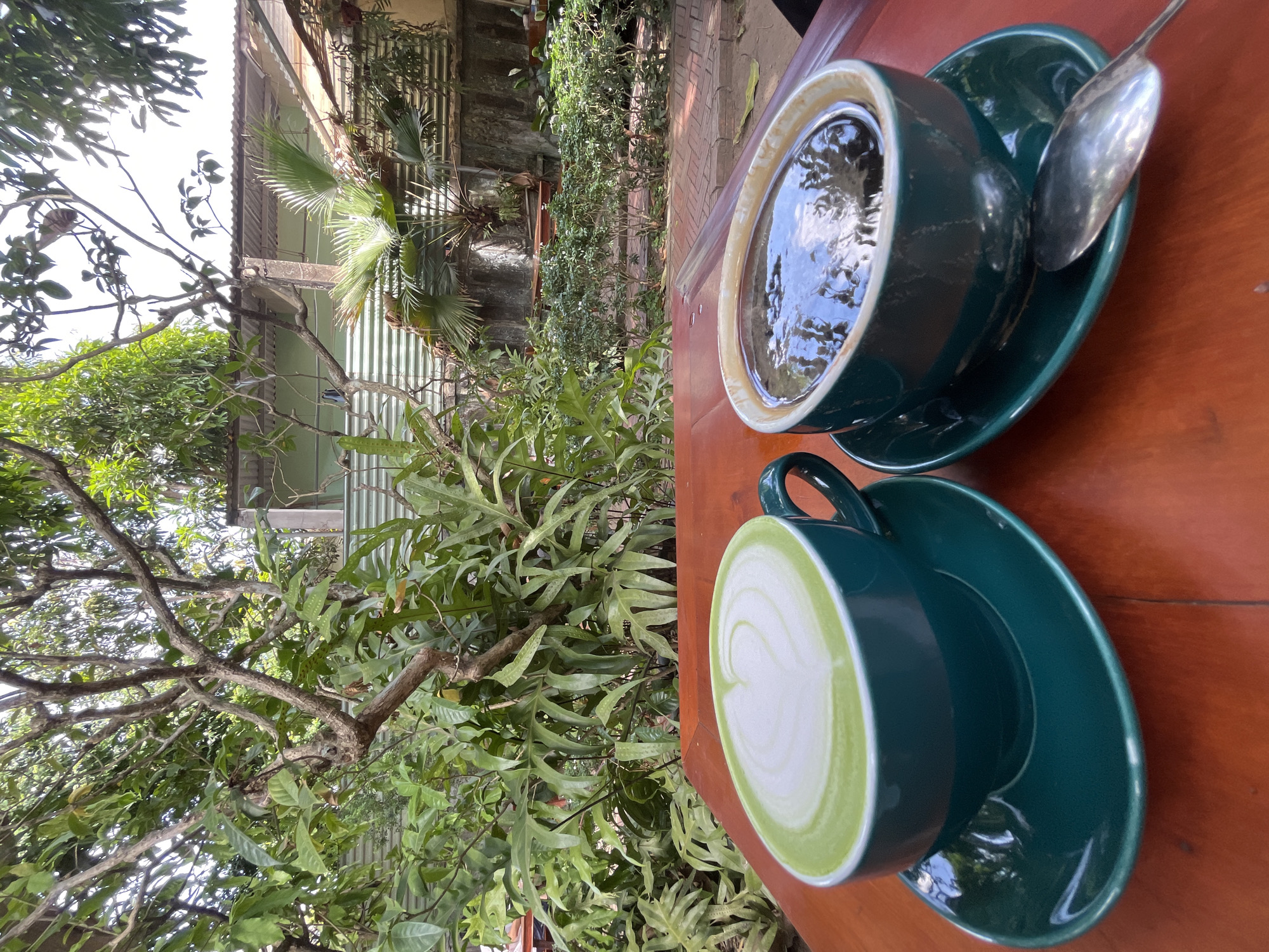 This image captures an outdoor setting at what appears to be a cafe or garden restaurant in Đà Nẵng, Vietnam. The foreground is occupied by a reddish-brown wooden table, upon which two dark teal ceramic cups with matching saucers are placed.
On the left, a cup contains a bright green beverage, likely matcha latte, adorned with a white foamed milk heart design on its surface. On the right, a second cup holds a dark liquid, presumably black coffee, exhibiting subtle steam and reflections of overhead foliage. A silver spoon rests on the saucer accompanying the right cup.
The midground is densely populated with a variety of green tropical foliage, including trees with exposed branches and broad-leafed plants. Notable vegetation includes a fan palm on the right side and rows of manicured green bushes further back, bordering a brick-paved path. Behind the dense greenery, urban structures are visible, comprising a corrugated metal fence or wall, a light green building with a corrugated metal roof, and concrete support pillars.
The background reveals a bright, possibly overcast, sky visible through gaps in the tree canopy. No individuals are present in the scene.