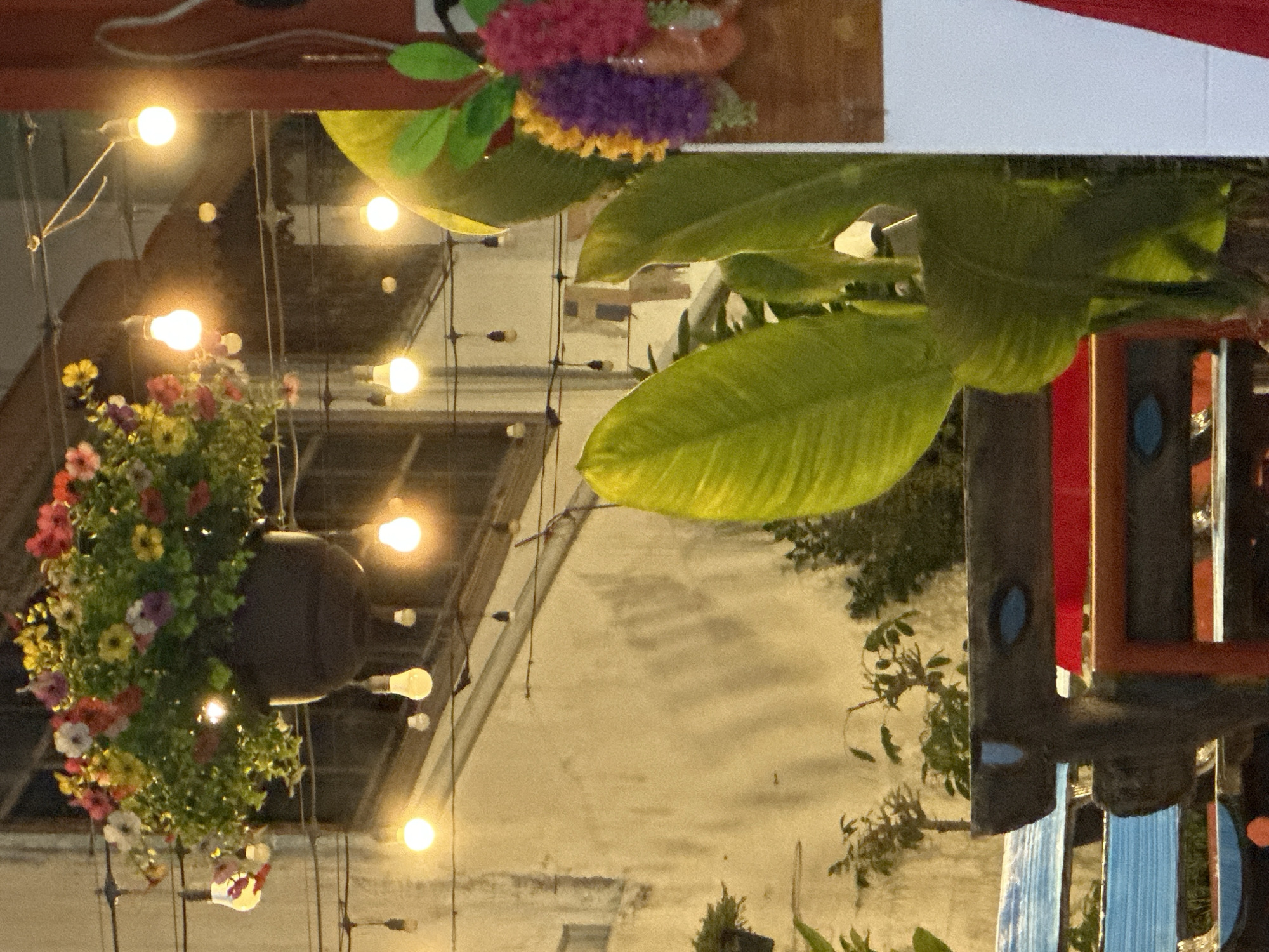 The image depicts a restaurant or bar in Pattaya City, Thailand. Strings of lights are suspended from the ceiling, illuminating the interior. There is a hanging floral arrangement, and large green leaves obscure some of the background. In the background, one can make out the facade of a building. A wooden structure with blue and red elements is also present.
