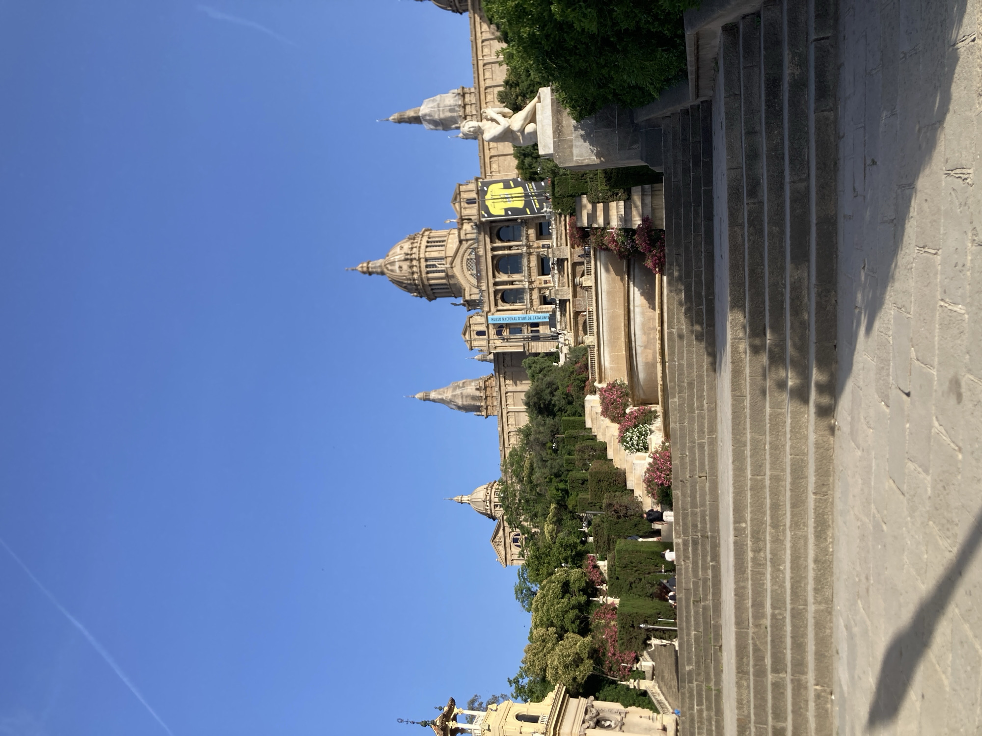 This is a low-angle, full-shot photograph taken outdoors in Barcelona, Spain, depicting the exterior of the Palau Nacional, a grand building situated on Montjuïc hill. The building, characterized by its large dome, classical architecture, and a banner displaying a yellow soccer jersey, serves as the primary subject. It is flanked by smaller domes and a tall tower to the left.
In the foreground, a wide, stone staircase leads upwards towards the Palau Nacional. Scattered along the staircase and in front of the building are lush green trees and vibrant pink and white flowers, creating a tiered garden effect. A classical statue of a seated human figure is visible on a raised platform to the right of the stairs.
Several individuals are present on the stairs and near the building. One person is walking up the stairs in the middle ground, while others are visible in smaller groups further up. A long shadow, cast by an unseen object or person, stretches across the lower portion of the stone steps. The sky above is a clear, bright blue with a faint white contrail from an aircraft. The overall scene suggests a sunny day, likely in the late afternoon or early morning due to the angle of the light and shadows.