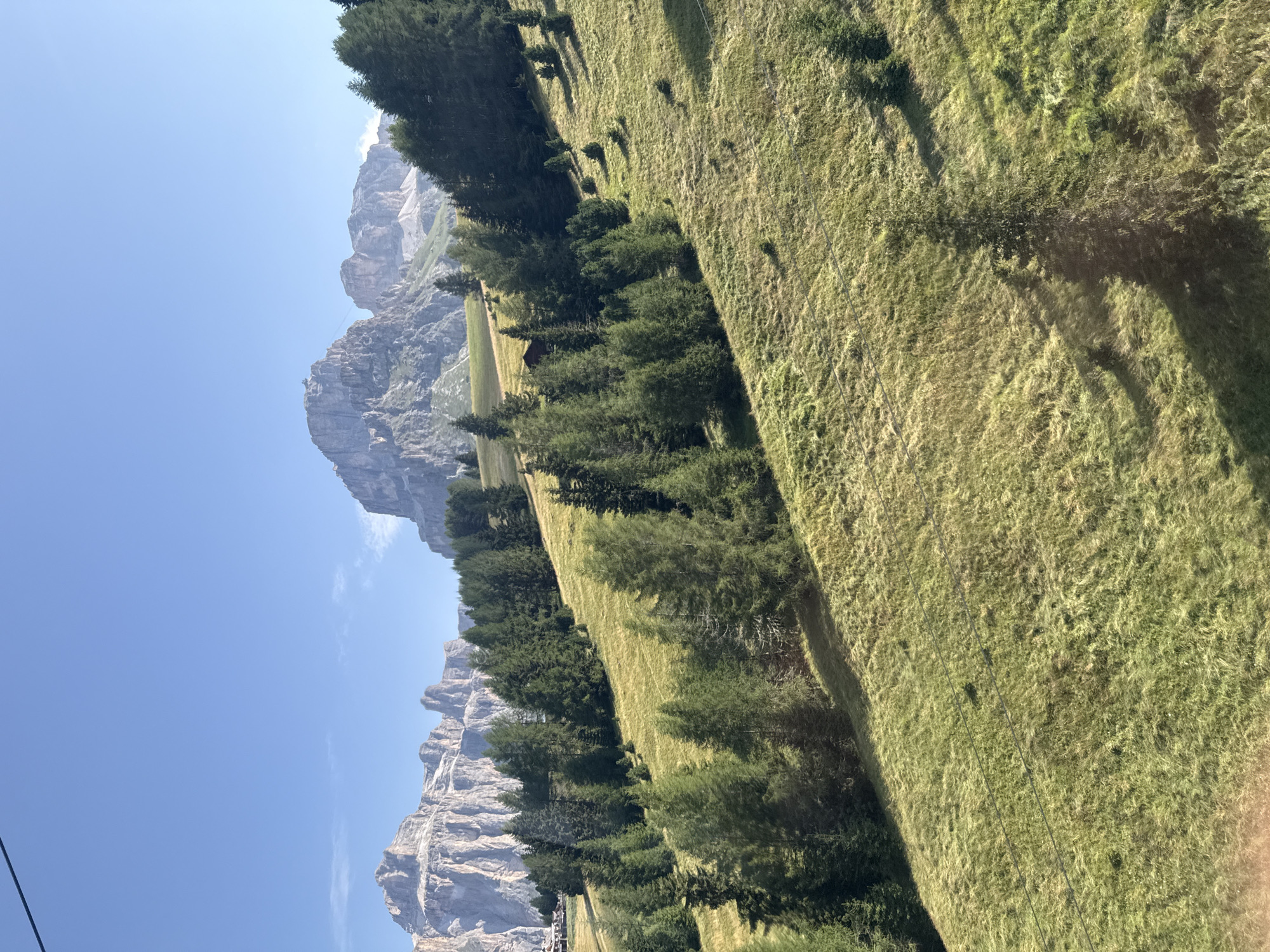This is a photograph of a mountainous landscape in the Dolomites region of Italy, likely near the town of Canazei. The image is dominated by a sloping green meadow dotted with numerous evergreen trees of varying sizes. In the background, majestic, rugged mountain peaks rise against a clear blue sky. The sunlight casts distinct shadows across the grassy slopes, highlighting the contours of the terrain. There are no people or visible structures in the immediate foreground. The scene evokes a sense of natural beauty and tranquility.