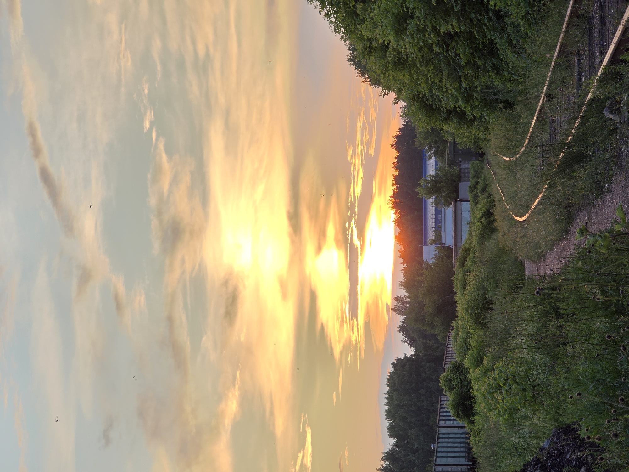 The image depicts a railway track in Chaikovsky, Russia, with a sunset sky in the background. The railway tracks curve through overgrown grass and vegetation. In the distance, there are trees and some industrial buildings. The sky is filled with warm colors of orange, yellow, and pink, with scattered clouds. Several birds are visible in the sky. On the left side of the image, there are parked train cars. The overall scene conveys a sense of an abandoned or disused industrial area at dusk.