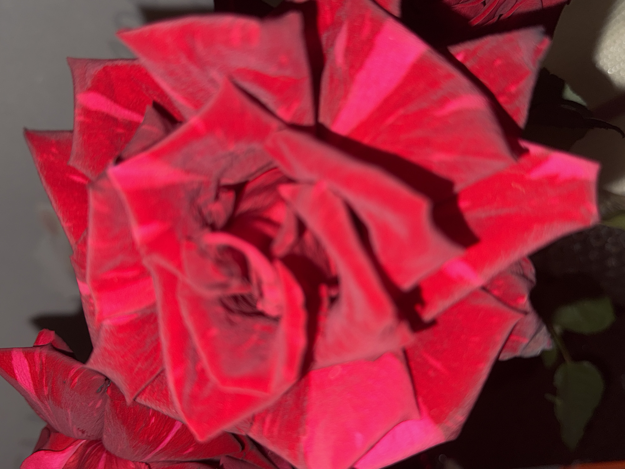 A close-up, low-angle shot showcases a vibrant, unfurling red rose. The petals are a deep crimson with subtle darker red or maroon striations, creating a marbled effect. Some petals are sharply defined, catching the light, while others are softer and blurred. The background is a muted, dark gray, with a hint of textured surface and a dark shadow on the left. A small portion of a green stem with leaves is visible at the bottom left, extending out of the frame. The overall lighting is dramatic, with strong highlights and deep shadows, suggesting artificial lighting in a dimly lit environment. There are no people or specific landmarks that would indicate a location in Chaikovsky, Russia.