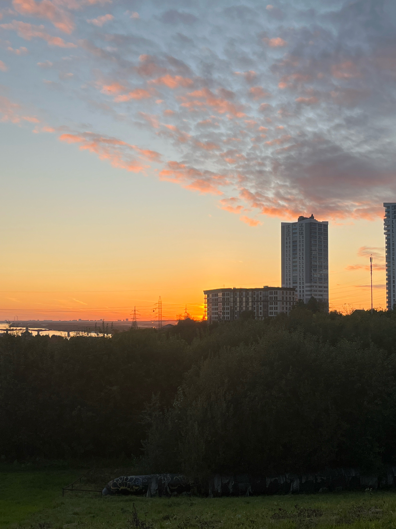 The image depicts a sunset over the city of Perm, Russia, with a vast expanse of sky transitioning from a pale blue to a warm orange hue. Delicate, pink-tinged clouds are scattered across the upper portion of the sky. In the middle ground, a cluster of modern, multi-story apartment buildings stands out against the horizon. To the left, a body of water, likely the Kama River, is visible, with a bridge crossing it. Power lines and transmission towers are also present, indicating urban infrastructure. The foreground is dominated by a dense line of dark green trees, forming a lush natural barrier. Below the trees, a grassy field is visible, with a concrete structure covered in graffiti in the lower right portion of the frame. The overall atmosphere is serene and tranquil, capturing the beauty of a sunset in an urban landscape.