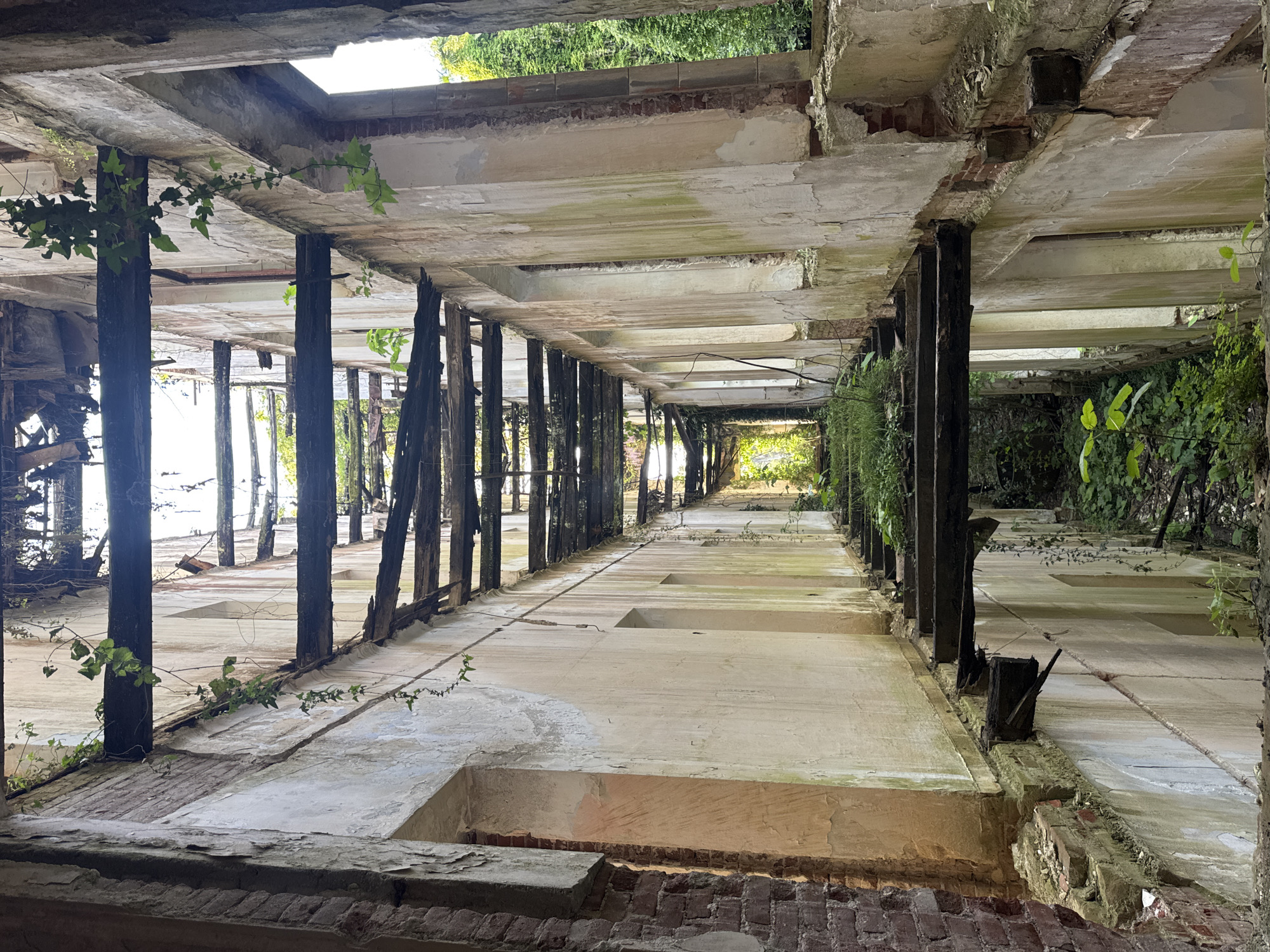 The image shows an interior view of a dilapidated building in a location designated as Unknown, Unknown. The structure appears to be abandoned, with extensive decay and vegetation overgrowth. Support pillars are made of dark, possibly charred wood, and positioned in a row. The ceilings are concrete with openings allowing daylight to filter through. The floor and walls show signs of crumbling plaster and exposed brick. Green foliage, including vines, is seen growing on the pillars and throughout the structure. The perspective is a long, narrow view through the building.