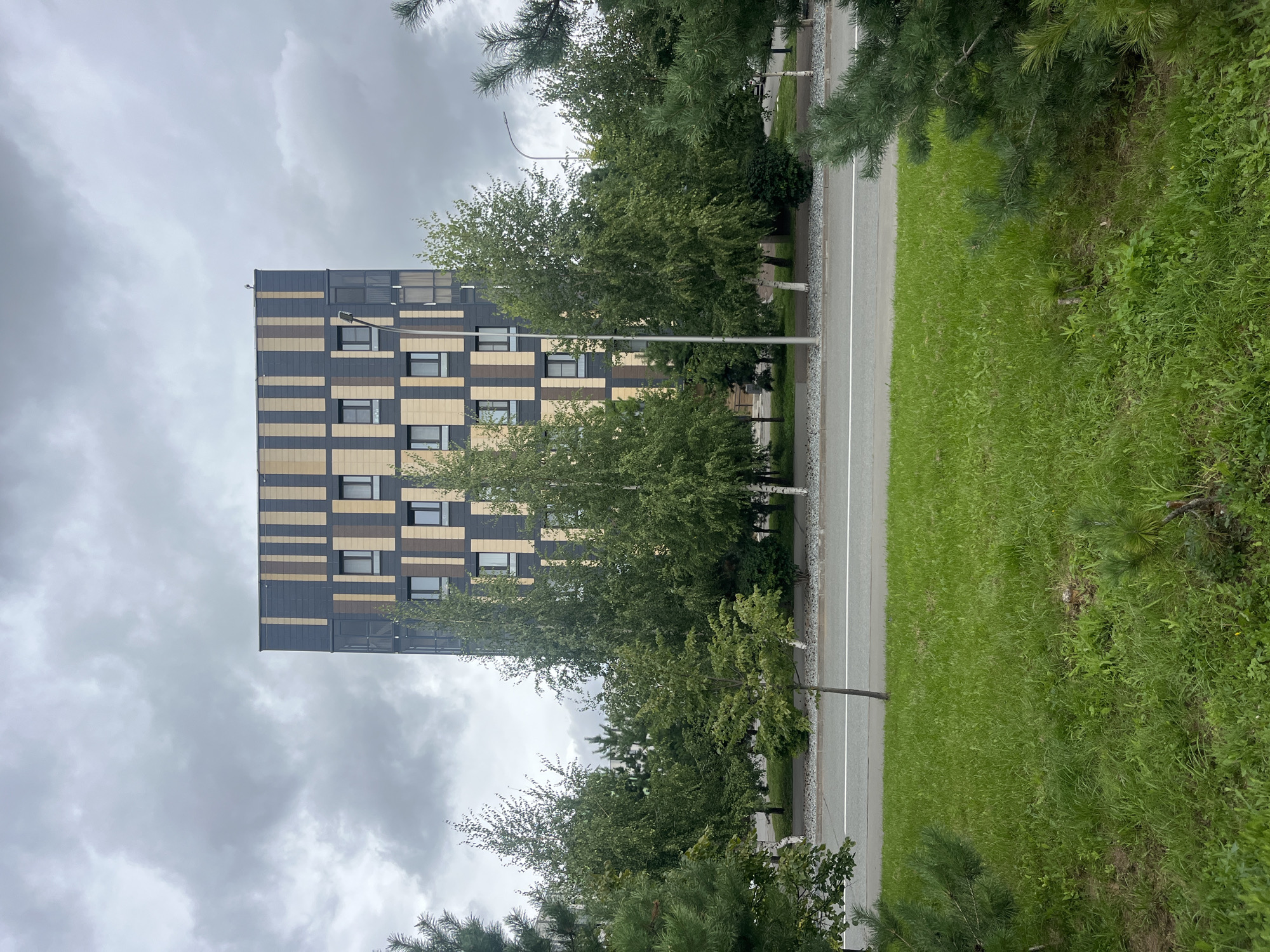 This is a full, eye-level, outdoor shot of a modern, multi-story apartment building in Innopolis, Russia, on a cloudy day. The building has a distinctive facade with alternating vertical panels of dark gray and a tan or light brown color, interspersed with multiple rows of square windows. A single streetlamp is visible near the building's entrance. The building is situated behind a paved road with white lane markings. A row of diverse trees, including birch trees with white trunks, lines the area between the building and the road. In the foreground, a well-maintained lawn with patches of dandelions stretches out, with the tops of evergreen trees visible on the left and right edges of the frame. The sky is overcast with heavy, gray clouds. There are no people or vehicles visible in the image.