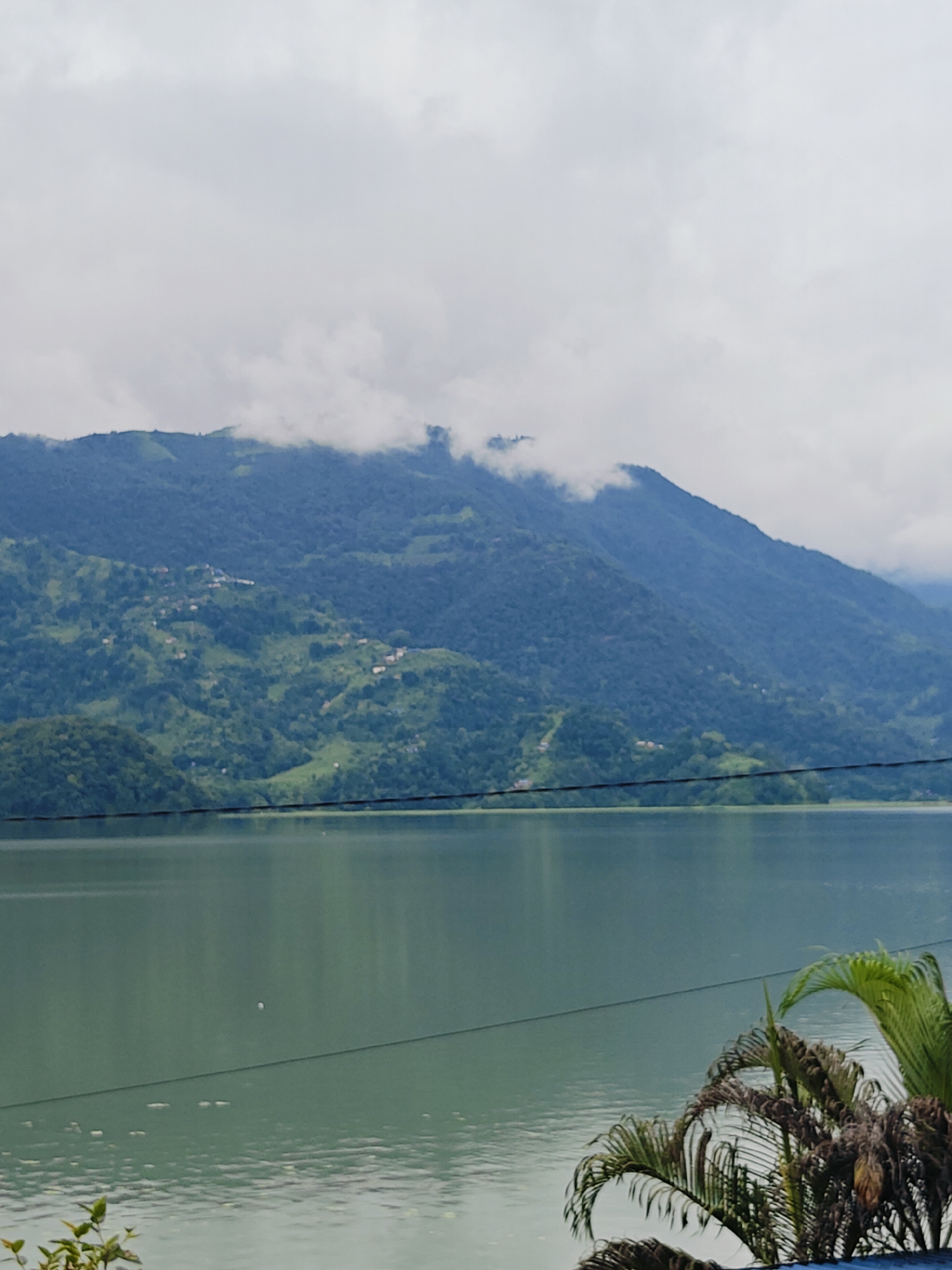 A serene, overcast day unfolds over Phewa Lake in Pokhara, Nepal. The calm, jade-colored water stretches across the foreground, reflecting the muted sky and the verdant, tree-covered slopes of the Annapurna mountain range in the distance. Small clusters of houses are visible scattered across the hillsides, indicating human habitation. Wisps of cloud hug the mountain peaks, adding a sense of depth and atmosphere. In the lower right corner, the fronds of a palm tree peek into the frame, their green leaves contrasting with the muted tones of the landscape. Two thin, dark wires are stretched horizontally across the middle ground of the image, a subtle reminder of human infrastructure within this natural setting. The overall impression is one of tranquility and natural beauty, characteristic of Pokhara's famed lakeside scenery.