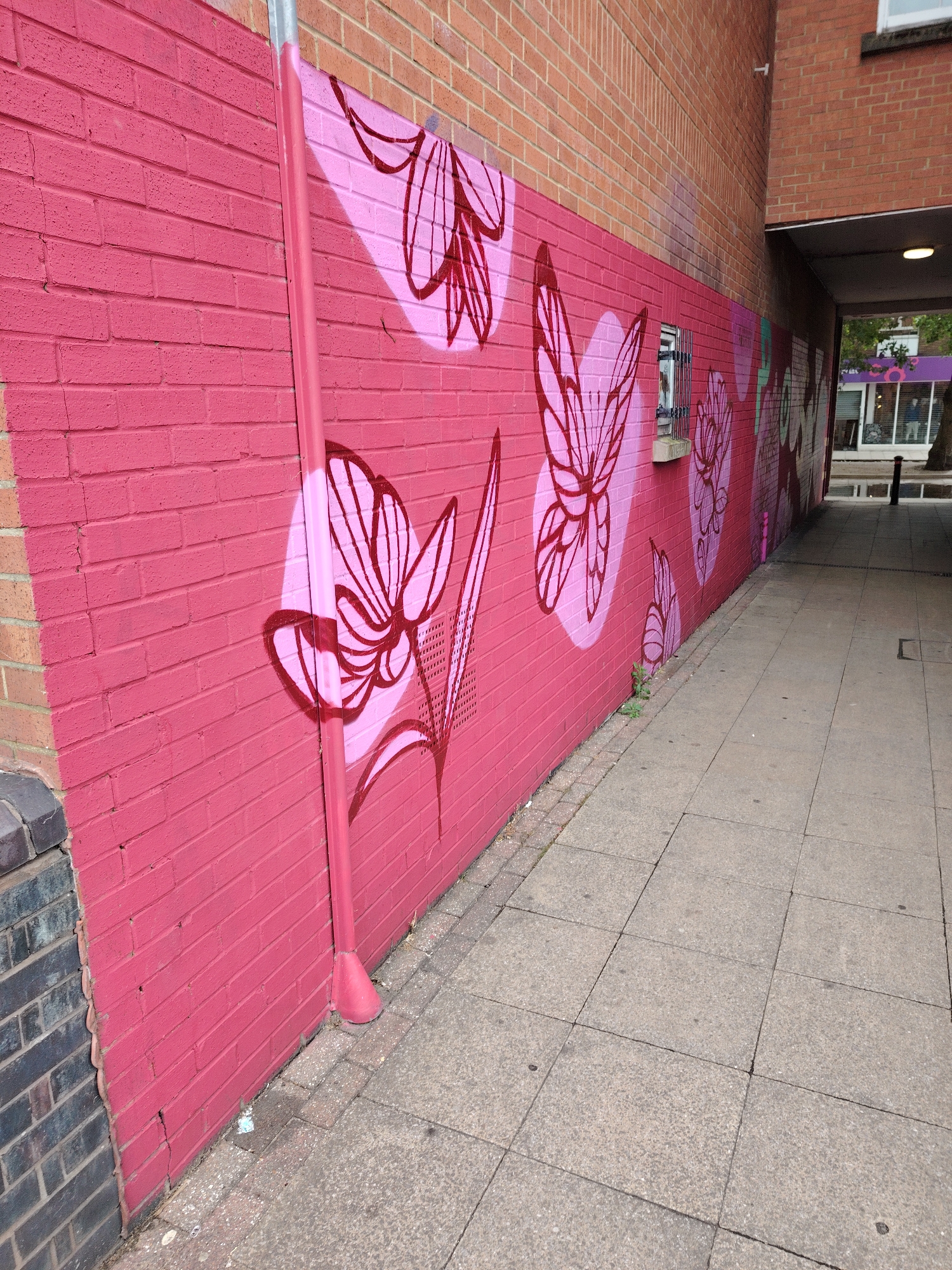 This image depicts an urban pedestrian passage located in Peterborough, United Kingdom. The left wall of the passage is constructed from red brick and is painted a uniform hot pink color. This wall features a mural composed of repeating stylized botanical motifs, including abstract flowers, leaves, and butterflies, outlined in a darker magenta. These dark outlines are frequently superimposed over lighter pink, ovoid background shapes.
A vertical metal drainpipe, also painted hot pink, is affixed to the left wall, descending to a flared, bell-shaped collection funnel at its base, which rests on the pavement. Further along this wall, a small, rectangular opening secured with vertical metal bars is visible, functioning as either a vent or a small barred window. Sparse green vegetation is visible growing at the base of the hot pink wall where it meets the pavement.
The ground of the passage is paved with a grid of rectangular light grey concrete slabs. The right side of the passage is bordered by a building constructed from reddish-brown brick. The upper sections of the building on the left also reveal natural reddish-brown brickwork above the painted area.
At the far end of the passage, an exterior street scene is visible. This includes a building with a large storefront window, displaying a distinct purple internal element or signage. Vehicles, mature trees, a dark cylindrical bollard, and a reflective puddle on the street surface are discernible. No human figures are present within the captured scene. The environment is illuminated by diffuse natural daylight, suggesting an overcast sky.