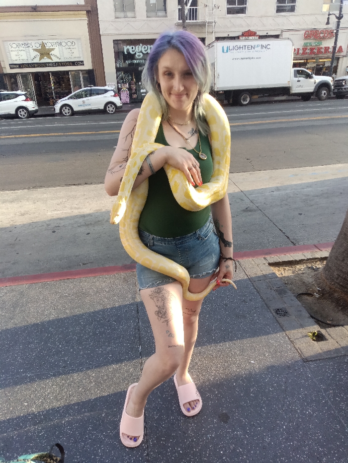 A female subject stands on a paved sidewalk on Hollywood Boulevard in Los Angeles, California, United States. She has multi-colored hair (blue, purple, grey), visible tattoos on her arms and both thighs, and wears a dark green tank top, distressed denim shorts, and pink slide sandals with purple-painted toenails. A large, light yellow albino python is draped around her neck and left shoulder, extending down her left arm and coiling around her midsection and left thigh. She holds the snake with her left hand and looks towards the camera with a slight smile. In the background, across a multi-lane asphalt street, commercial buildings are visible, including "Souvenirs of Hollywood," "regent," and "Greco's Pizzeria." Parked vehicles, including two white cars and a white box truck with "LIGHTEN UP INC." branding, are present on the street. The scene is illuminated by natural sunlight, casting shadows from the right foreground onto the sidewalk and street.