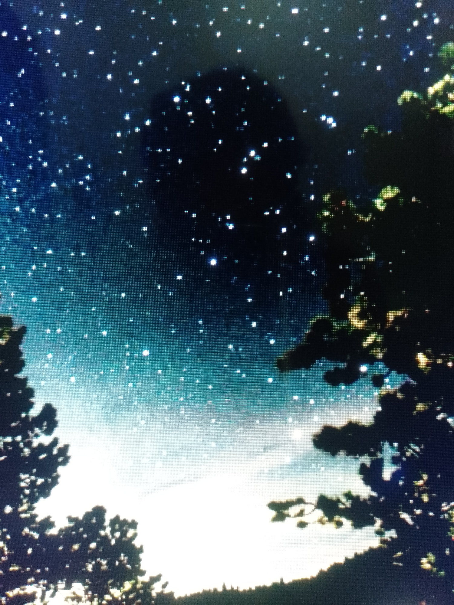 The image depicts a night sky filled with stars, partially obscured by tree branches in the foreground. The sky transitions from a darker blue at the top to a lighter, almost white, hue near the horizon. The silhouettes of trees are visible at the bottom, suggesting a forest or wooded area. The location is Unknown, Unknown.