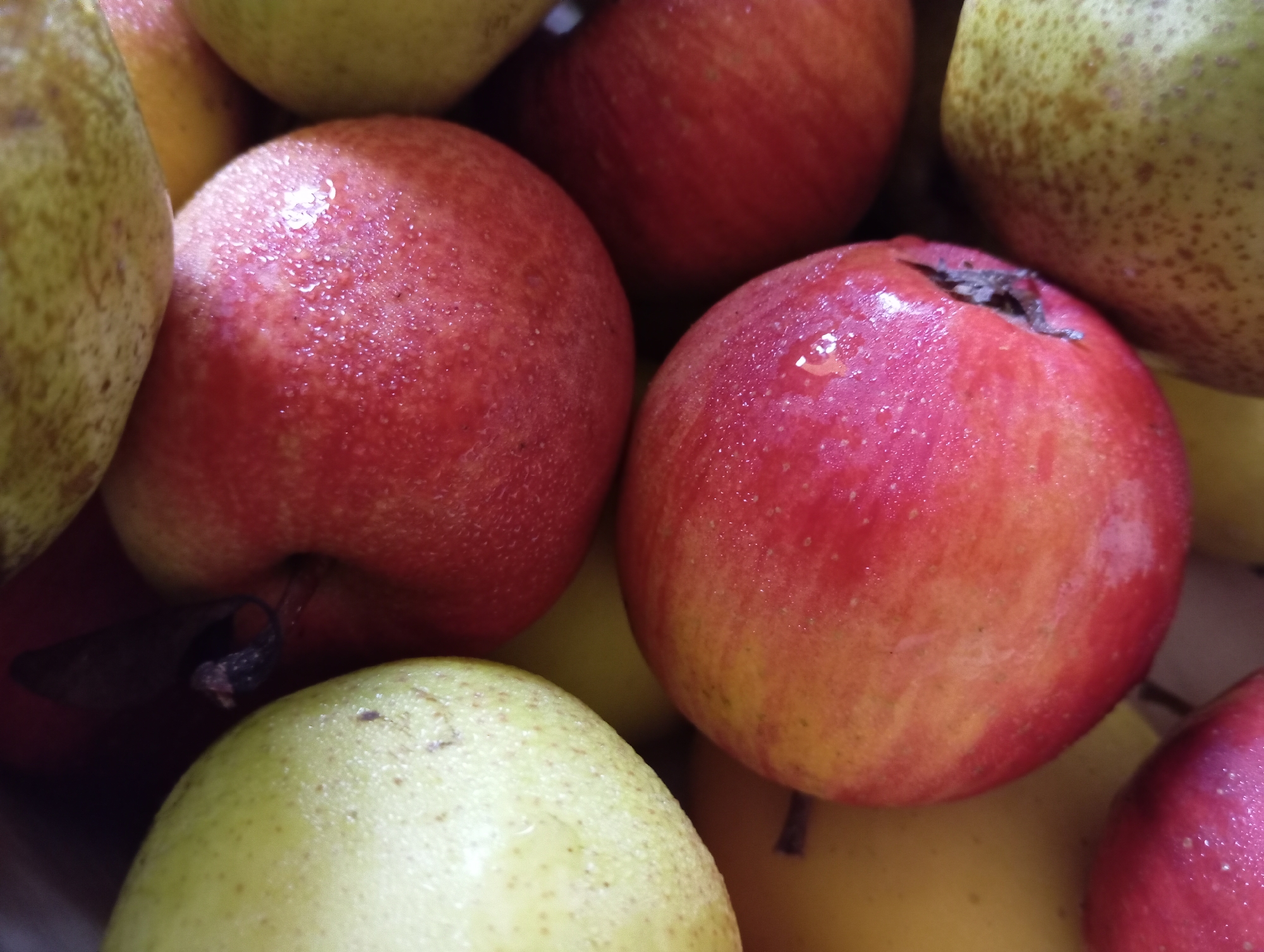 A close-up, overhead shot shows a pile of ripe apples and pears, glistening with water droplets, suggesting they have been recently washed or misted. The fruits are a mix of vibrant red apples and pale green pears. The lighting is soft and diffused, highlighting the textures and colors of the produce. The background is a shallow depth of field, blurring into a warm, indistinct mass of colors. The scene appears to be a still life composition, possibly for a food advertisement or a still life painting. There are no people, actions, or interactions visible in the image. The location in Hlynytsi, Ukraine, is not discernible from the visual information provided in the image.