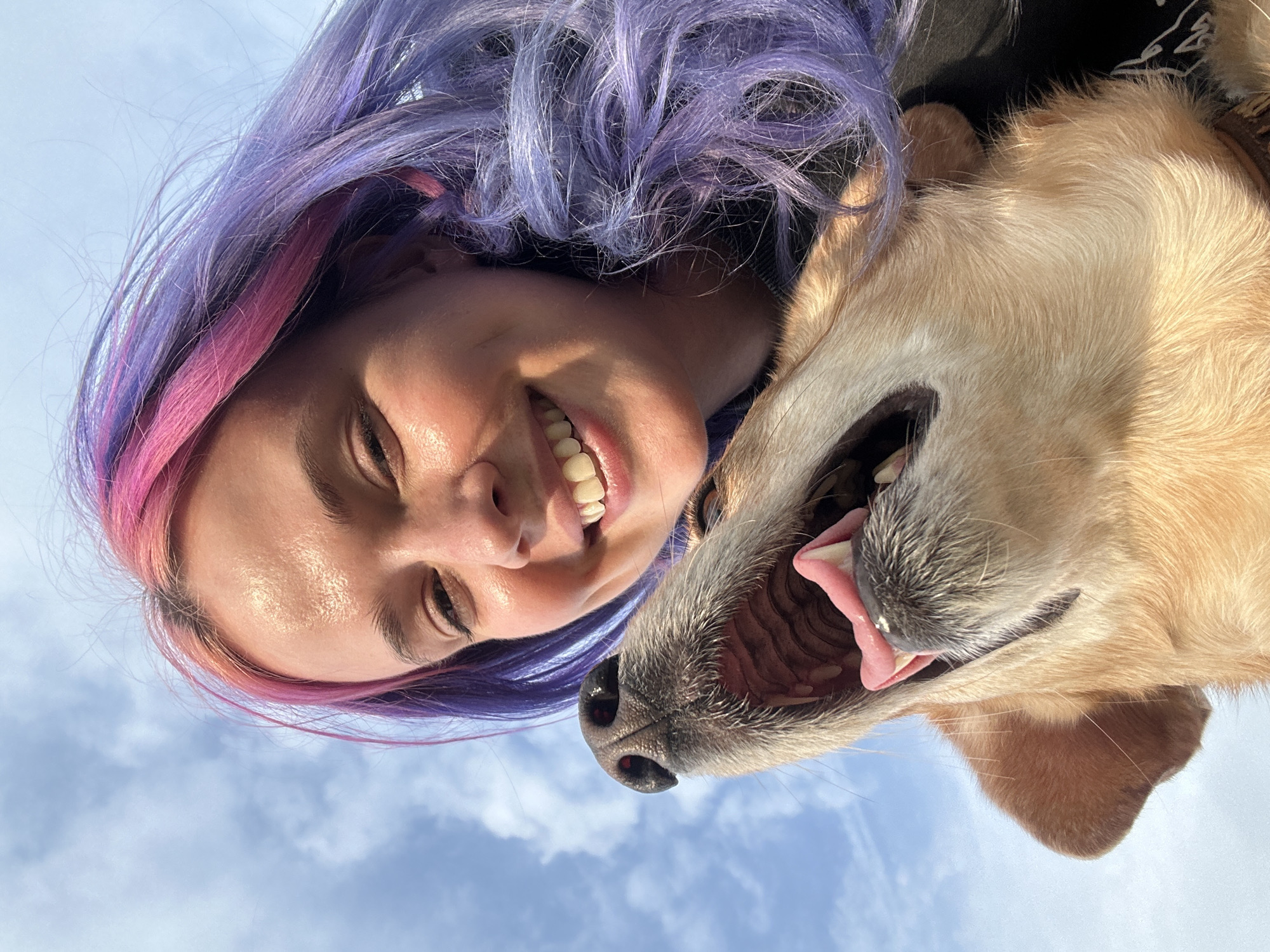 This close-up, low-angle portrait captures a person and a dog looking down towards the camera against a bright blue sky with scattered white clouds. The image is rotated 90 degrees clockwise, presenting the subjects as if upside down from a conventional perspective, with the sky forming the upper background.
On the left, a young adult with light skin is smiling broadly, revealing white teeth and crinkled eyes, conveying clear joy. Their hair is strikingly dyed in vibrant shades of purple and pink, framing their face. On the right, a dog with light golden-brown fur is seen with its mouth open, appearing to pant or "smile" happily, with its pink tongue and some teeth visible. Its black nose is prominent, and part of its ear can be seen.
The scene suggests an affectionate and playful moment shared between the person and the dog outdoors. The bright, clear lighting indicates it is daytime with pleasant weather conditions. While no specific landmarks are visible, the location context is the City of Zagreb, Croatia. There is no visible text in the image.