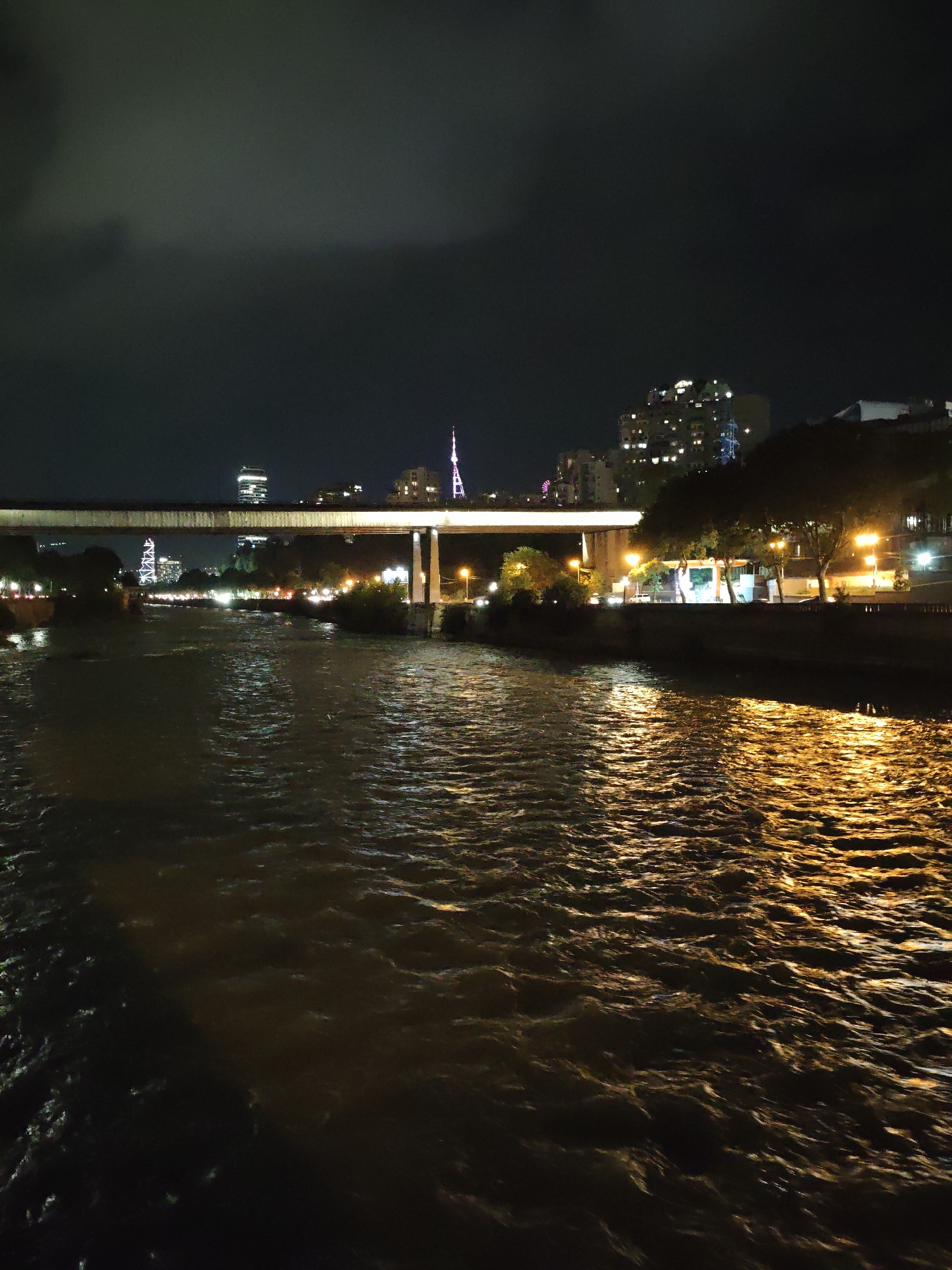 This is a nighttime photograph of the Mtkvari River in Tbilisi, Georgia, taken from a bridge. The river is wide and dark, with reflections of city lights shimmering on its surface. On the left bank, trees and buildings are visible, illuminated by streetlights and the lights from windows. A large, elevated highway bridge spans the river in the middle ground. In the background, the Tbilisi TV Tower, a distinctive landmark, rises above the cityscape, and other buildings are illuminated by various lights. The sky is dark and cloudy, characteristic of a night scene. The overall impression is one of urban nightlife, with the river acting as a central element reflecting the city's glow.