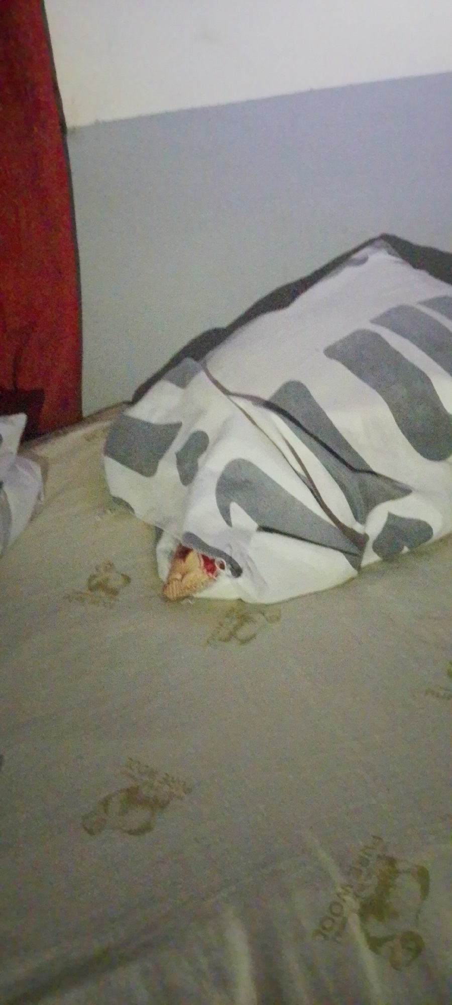 The image shows a bed in a dimly lit room. The bed appears to be unmade, with a pillow covered in a grey and white patterned fabric. A small, light-colored object, possibly a toy or stuffed animal, is visible beneath the pillow, with what appears to be red liquid around it. The mattress has a faint pattern and some staining. In the background, a wall transitions from white to gray. A portion of a red curtain is visible on the left side of the frame. The overall scene suggests a domestic setting, possibly a bedroom, with some disarray. There is no indication of the time of day or weather conditions. The location context is Jalingo, Nigeria. There is faint text visible on the mattress that reads "Pure Wool".