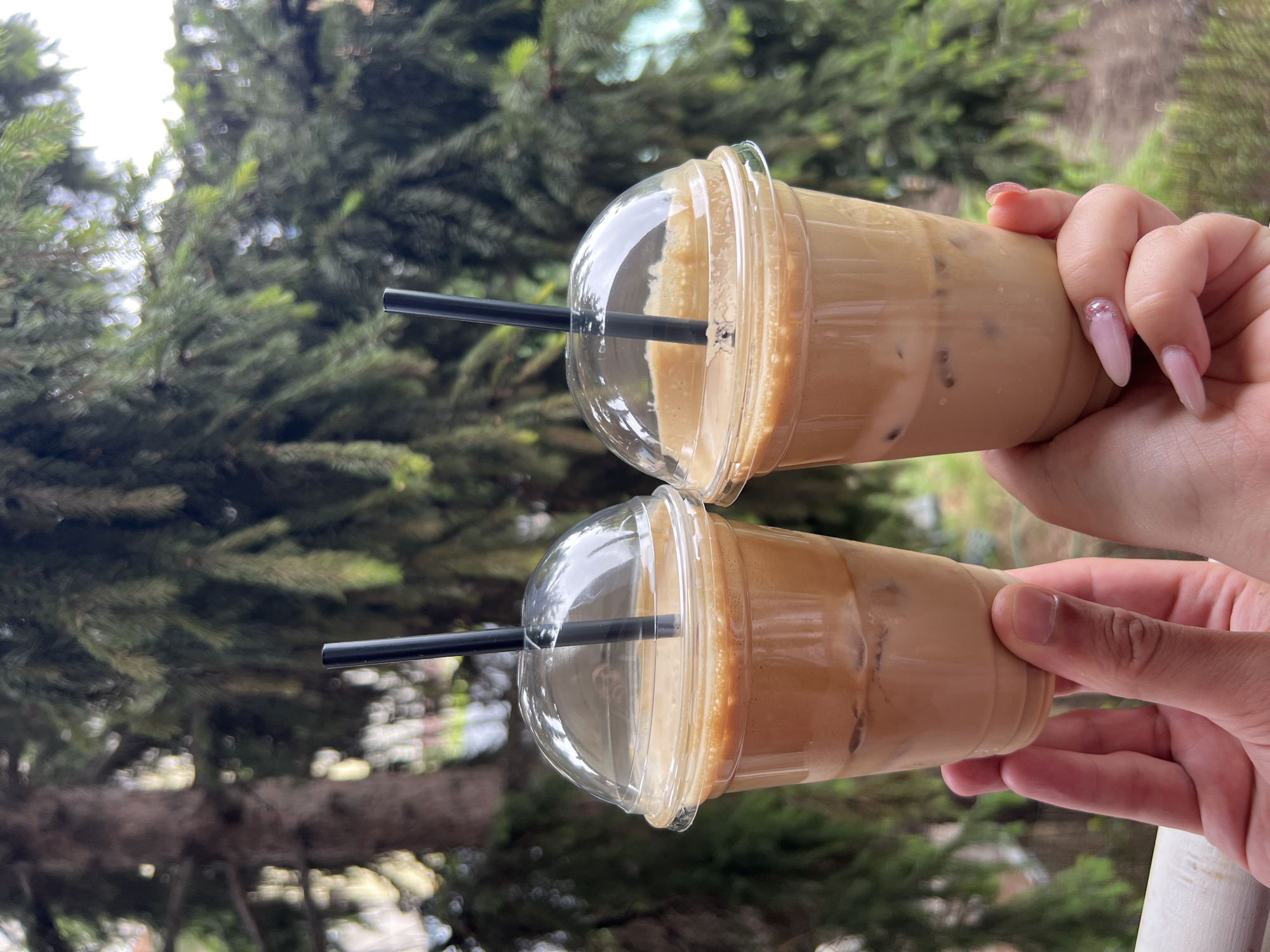 Two plastic cups of iced coffee are held up by a person's hands in front of a blurred background of pine trees. The cups have clear plastic dome lids and black straws. The coffee is light brown with visible ice cubes. One hand, holding the cup on the left, appears to be a man's hand with a thumb and forefinger visible. The other hand, holding the cup on the right, is a woman's hand with long, light pink acrylic nails, some with glitter accents. The scene suggests an outdoor setting, possibly a cafe or a balcony with a view of trees. The location is not specified as Sofia, Bulgaria.