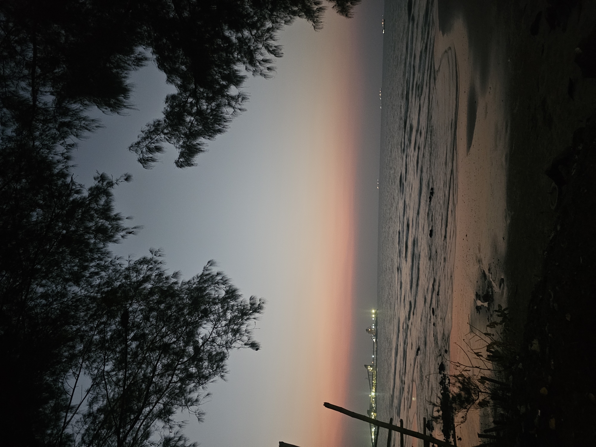 The image depicts a serene beach scene at dusk in Jenu, Indonesia. The sky transitions from a soft pastel pink and orange near the horizon to a muted blue overhead. Silhouetted branches of trees frame the upper portion of the image, creating a natural canopy. The calm sea reflects the fading light, with gentle waves lapping at the sandy shore. In the distance, lights from a port facility or a ship are visible on the water, hinting at industrial activity or maritime traffic. The foreground features a dark, shadowed beach with some scattered debris and sparse vegetation. The overall atmosphere is tranquil and contemplative, characteristic of a sunset by the coast.
