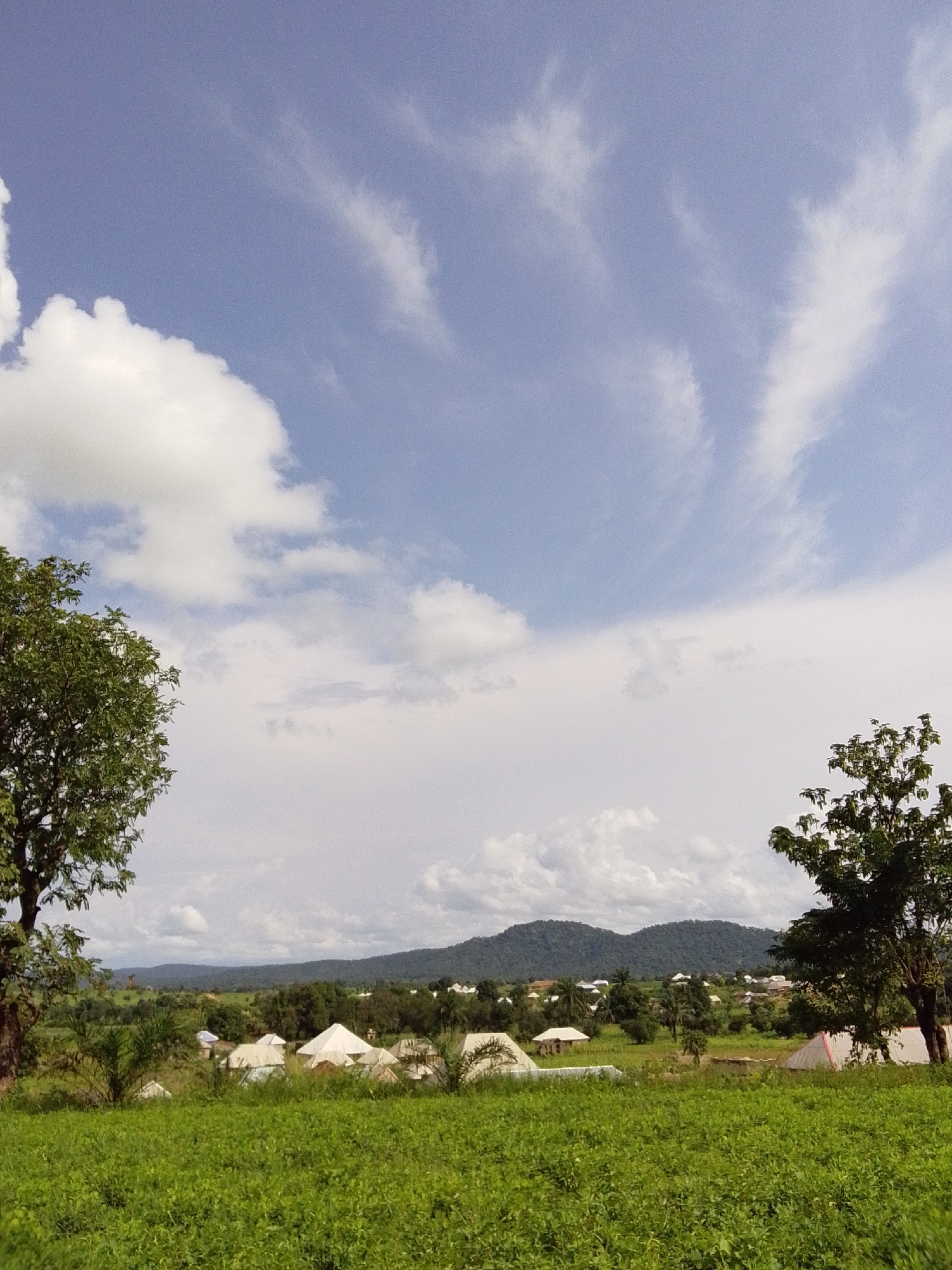 This is a vertical, eye-level, medium shot of a rural landscape with a village nestled in the mid-ground under a bright, partially cloudy sky. In the foreground, a lush, green field of crops stretches across the entire width of the image. Two large, leafy trees frame the scene on the left and right sides.
In the mid-ground, a collection of white, tent-like structures, possibly for camping or temporary housing, are scattered among other buildings and trees. The village appears to be built on a gentle slope, leading up to a range of rolling, tree-covered hills that dominate the background. The sky is a vibrant blue with scattered white clouds, some of which are thin and wispy, resembling streaks. The overall impression is one of a peaceful, rural settlement under a vast, open sky. There are no people visible in the image.